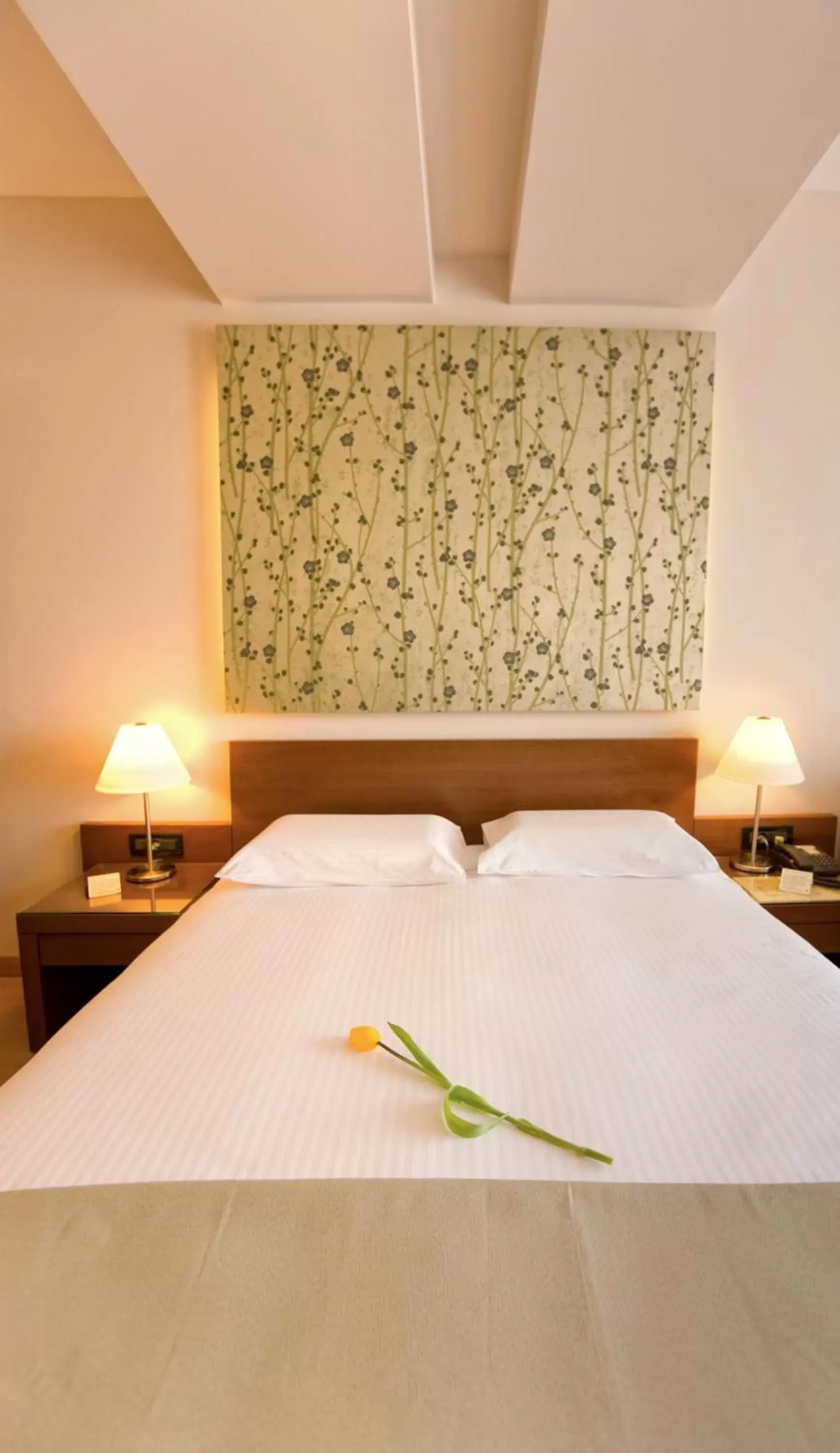 Standard Double Room - single occupancy in Pharae Palace Standard Double Room - single occupancy in Pharae Palace