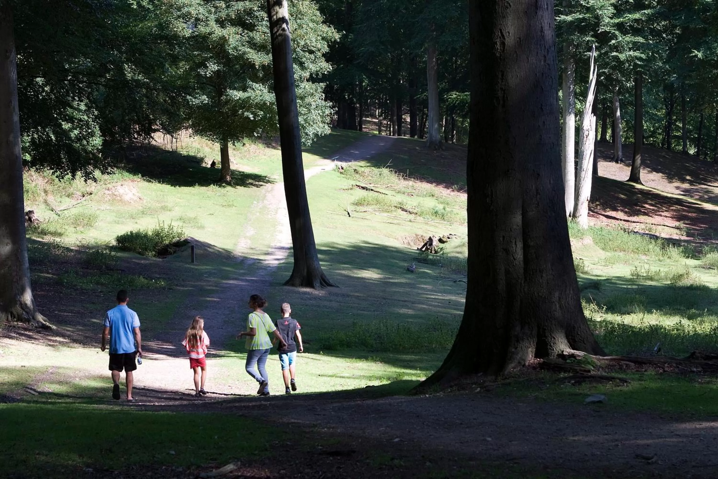 Area and facilities in Hotel Hedegaarden