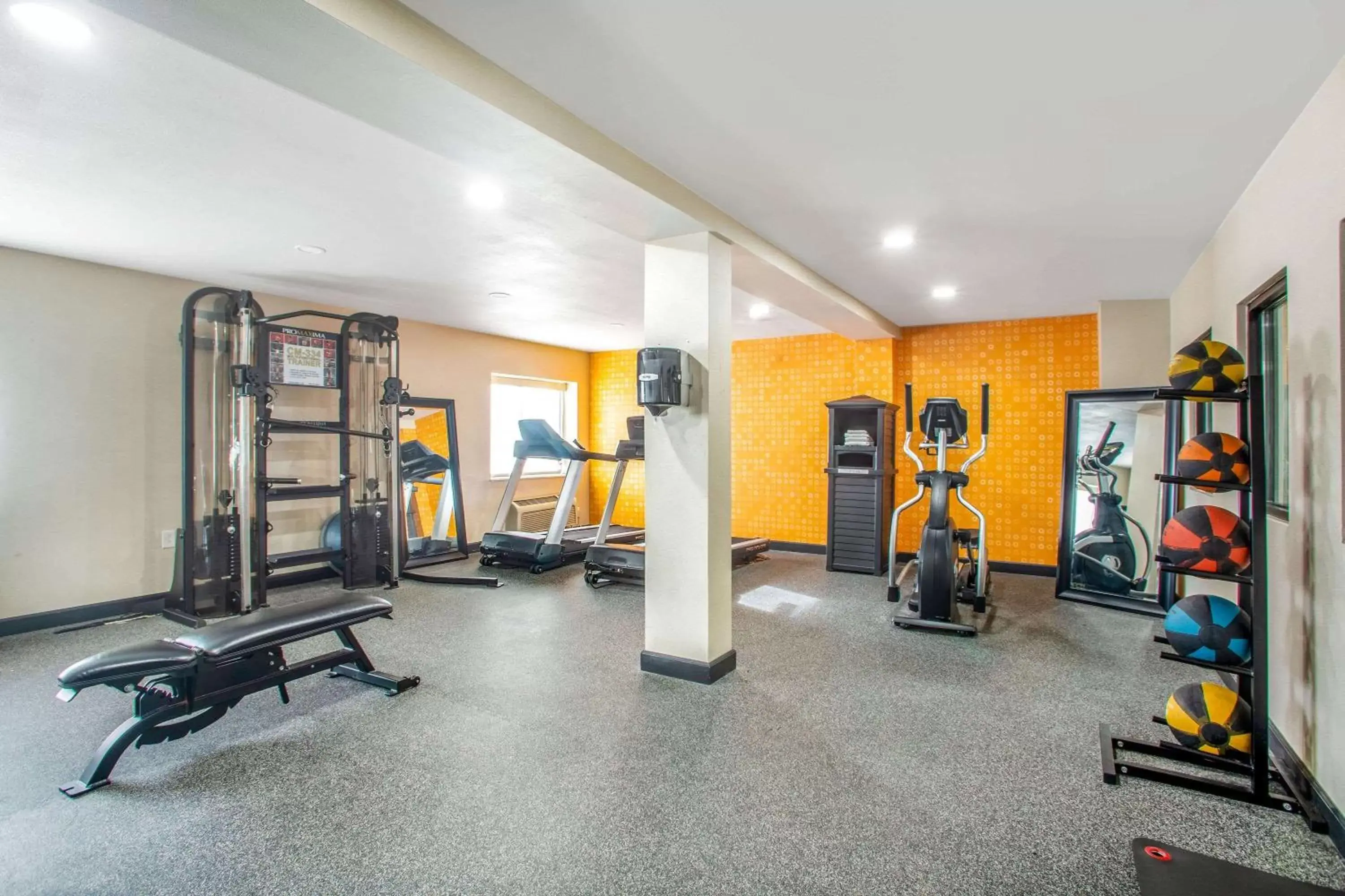 Fitness centre/facilities, Fitness Center/Facilities in La Quinta Inn by Wyndham St. Louis Hazelwood - Airport North