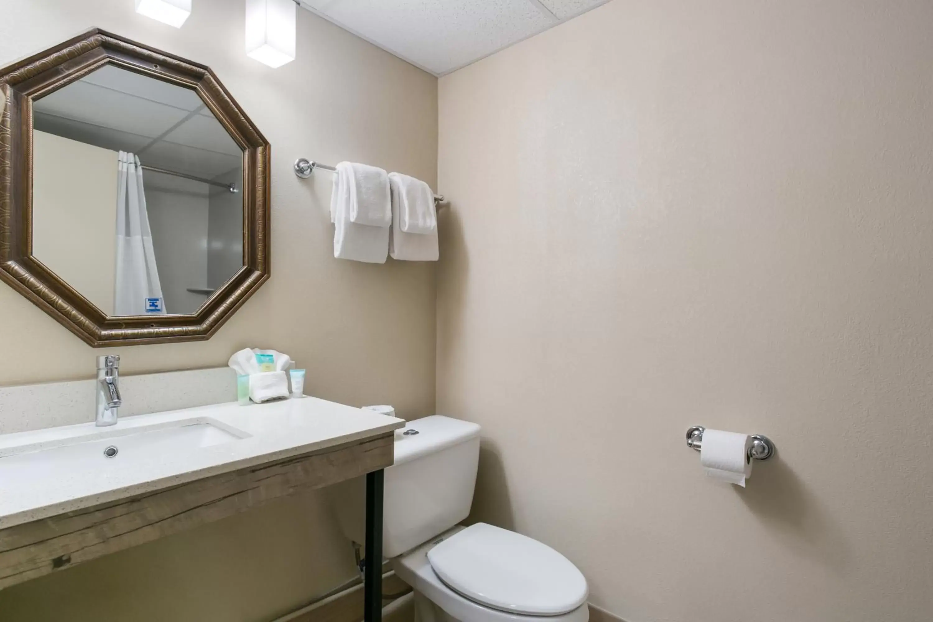 Bathroom in Eisenhower Hotel and Conference Center