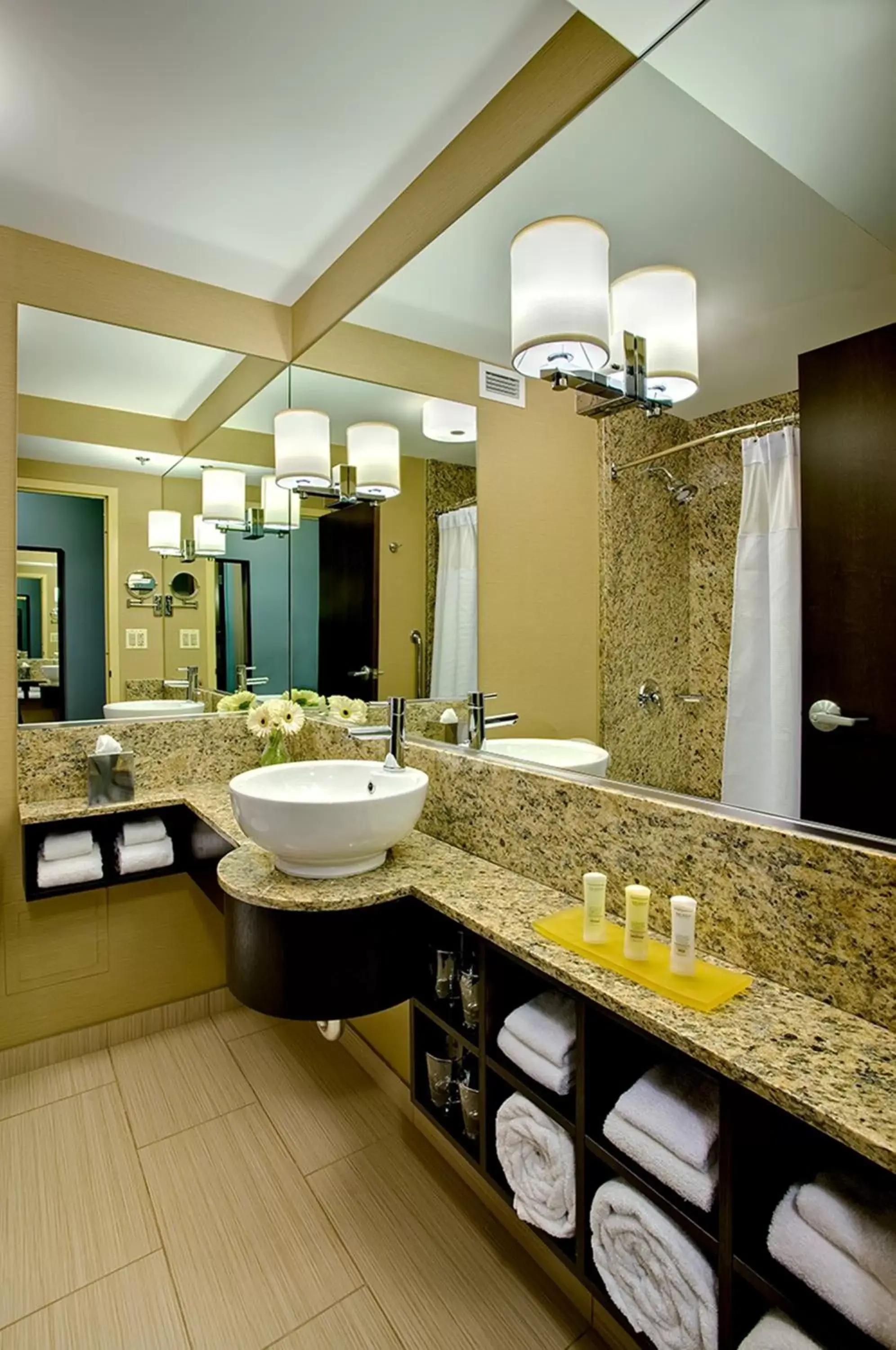 Bathroom in Crowne Plaza Chicago O'Hare Hotel & Conference Center, an IHG Hotel