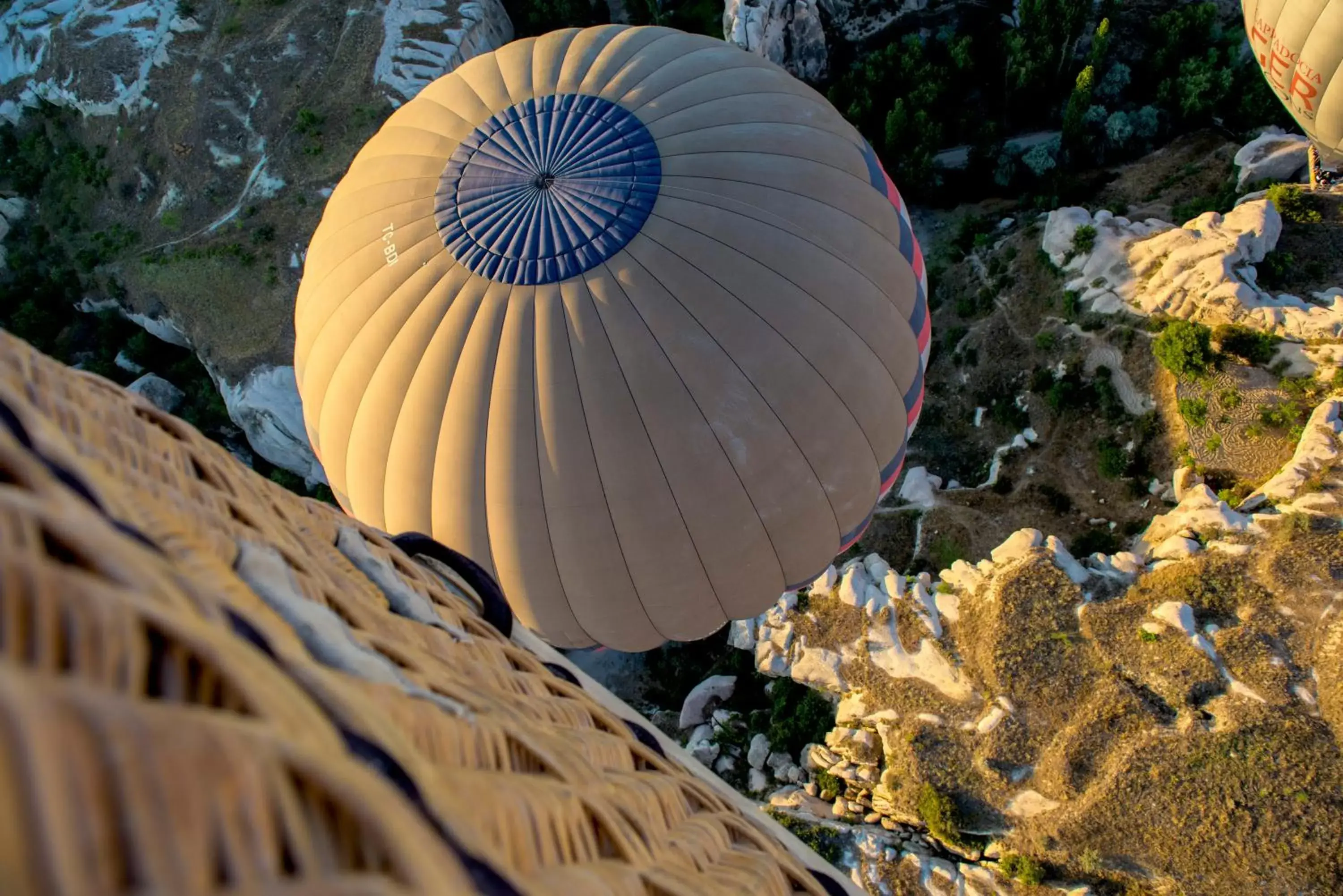 Activities, Other Animals in Aydinli Cave Hotel