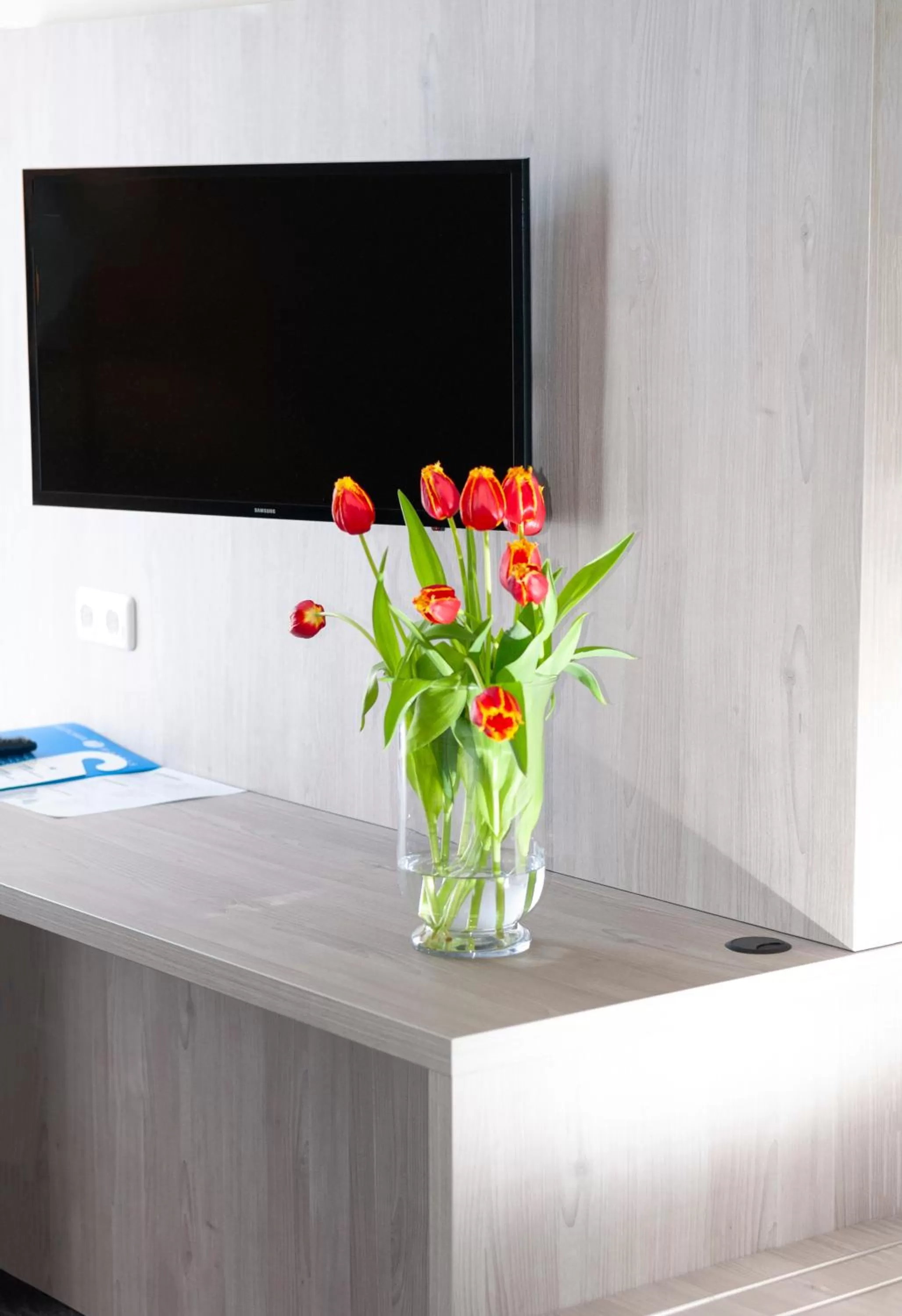 TV and multimedia in Fletcher Hotel Restaurant De Gelderse Poort