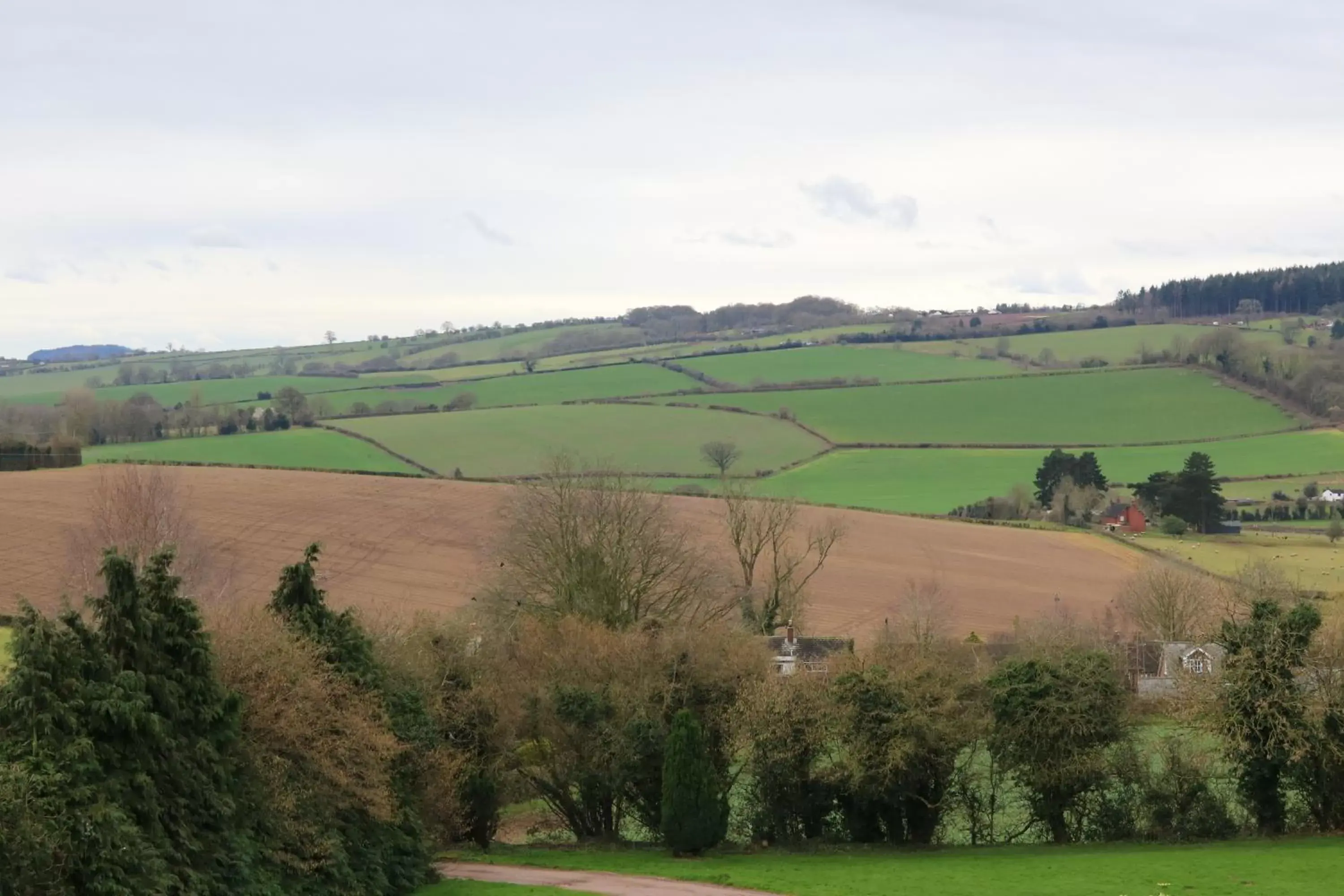 View (from property/room) in Pilgrim Hotel