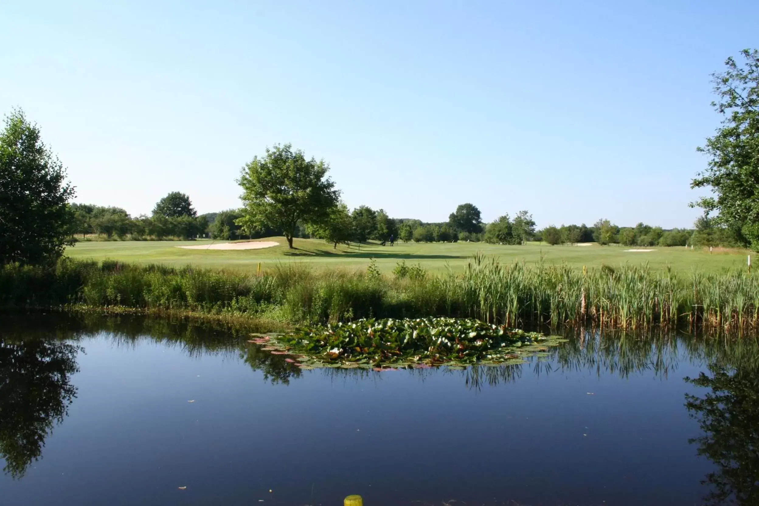 Golfcourse, Natural Landscape in Best Western Premier Seehotel Krautkrämer