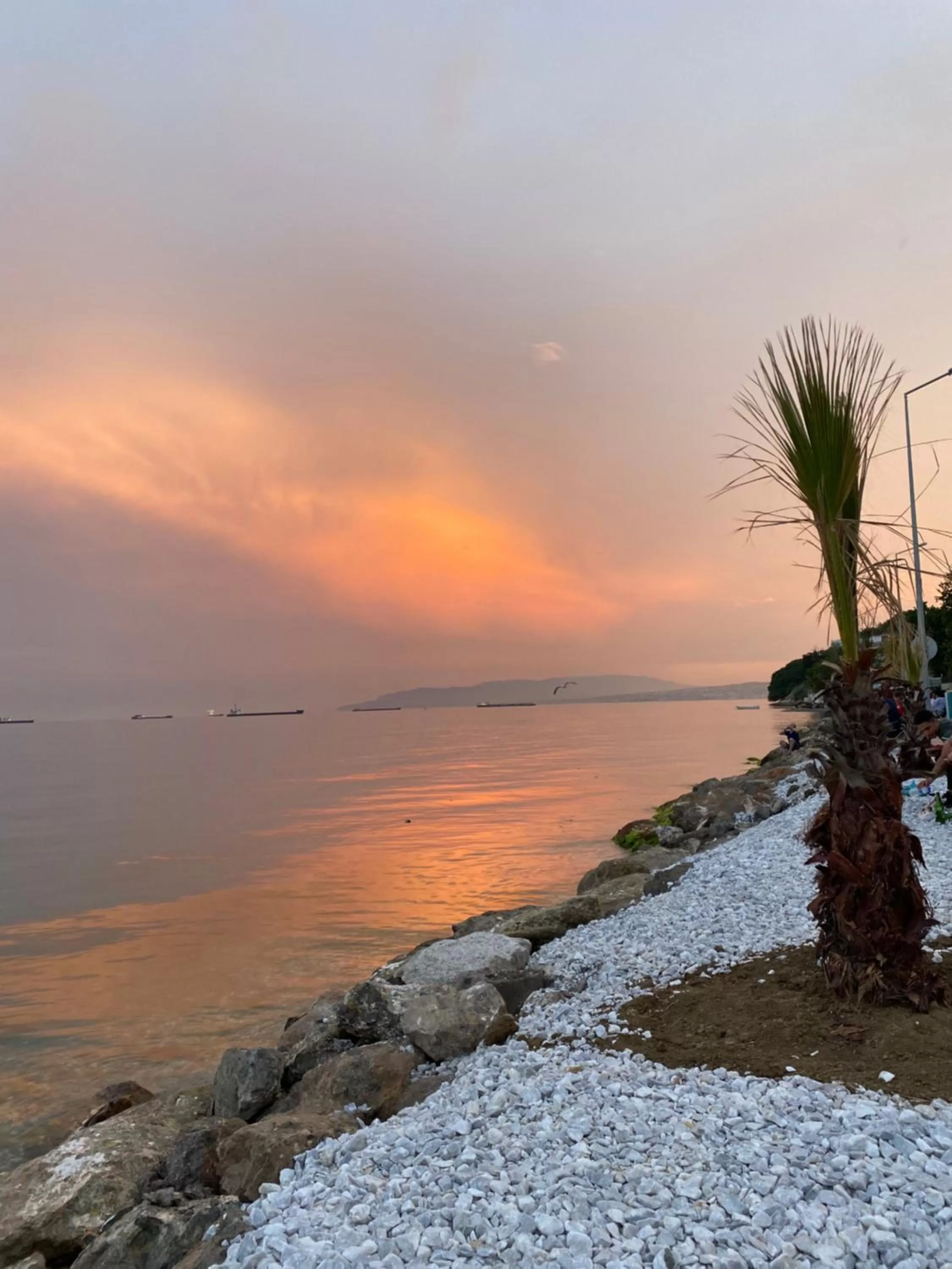 No Problem Pansiyon & Alkaya