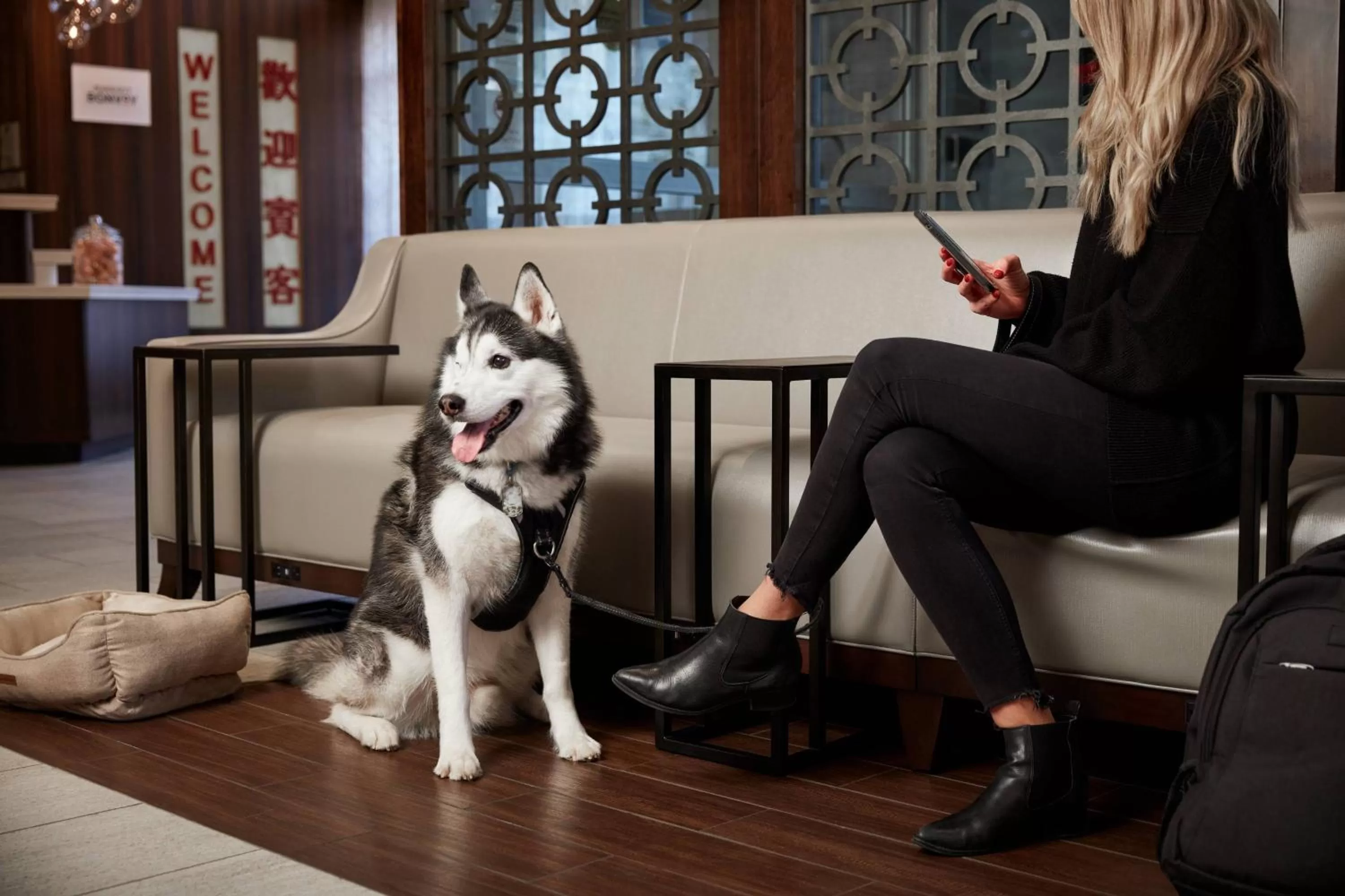 Other in Fairfield Inn & Suites by Marriott Washington Downtown