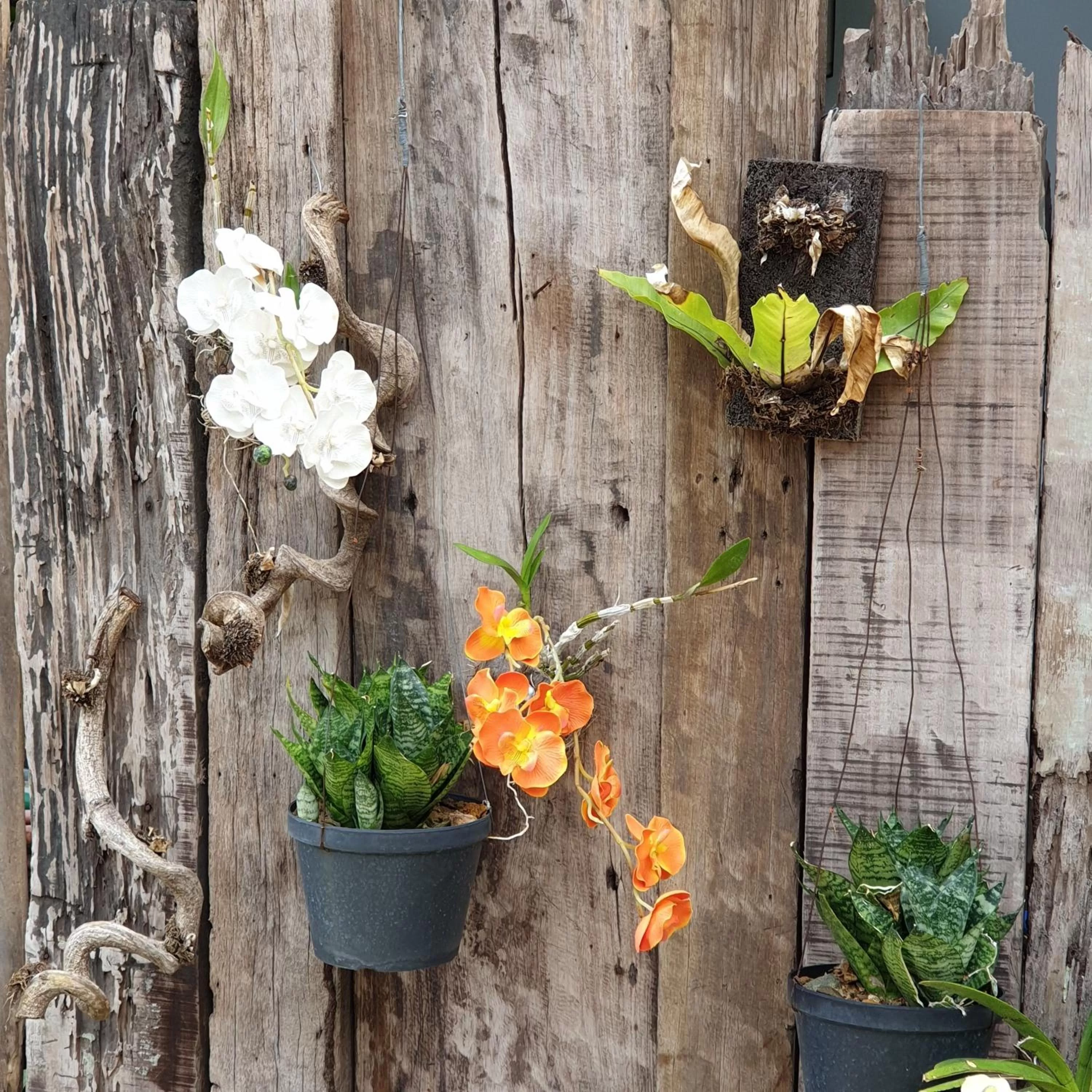 Raya Del Sol Dive Resort