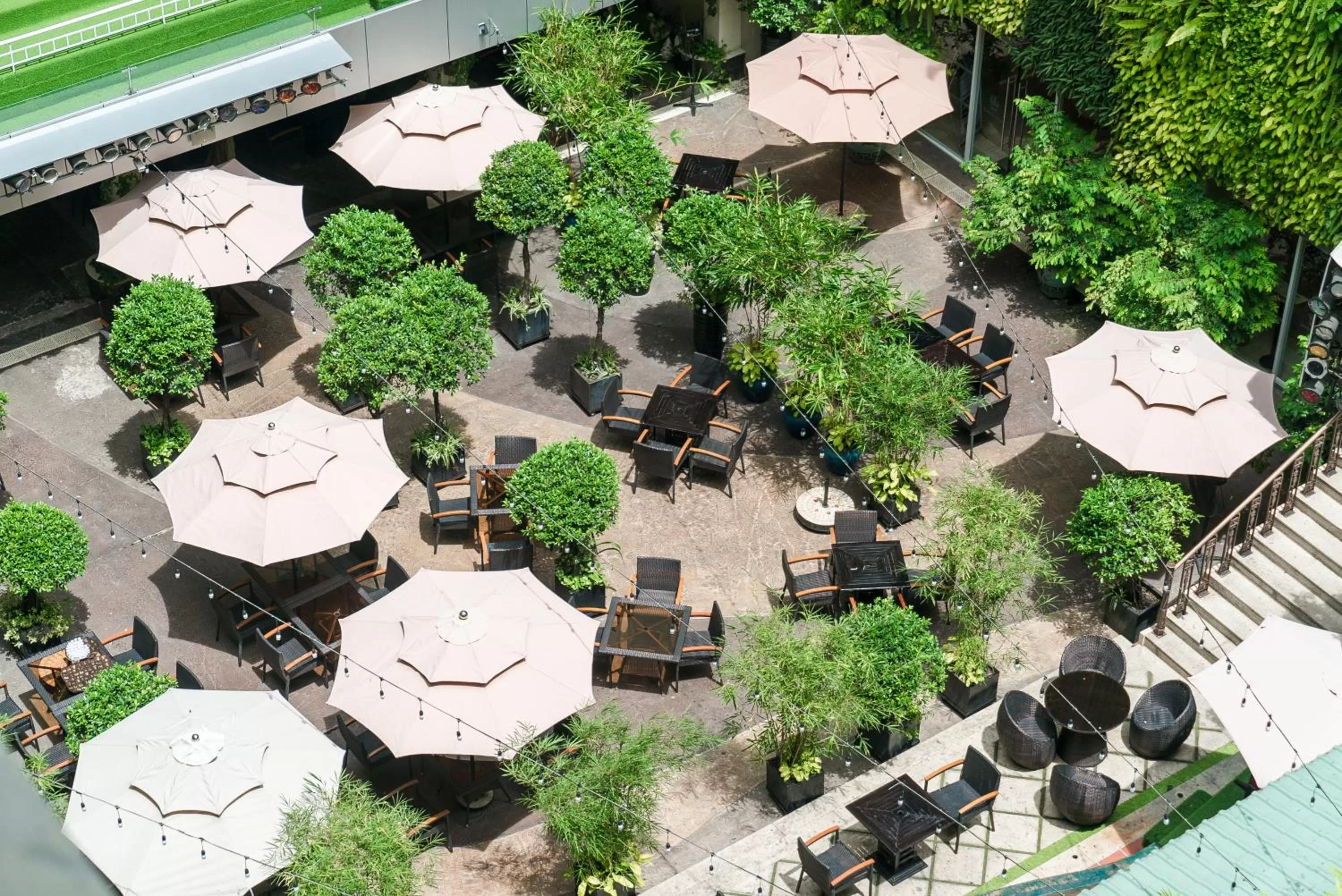 Garden view in Rex Hotel