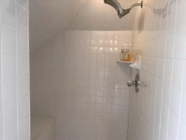 Shower, Bathroom in Red Rocker Inn