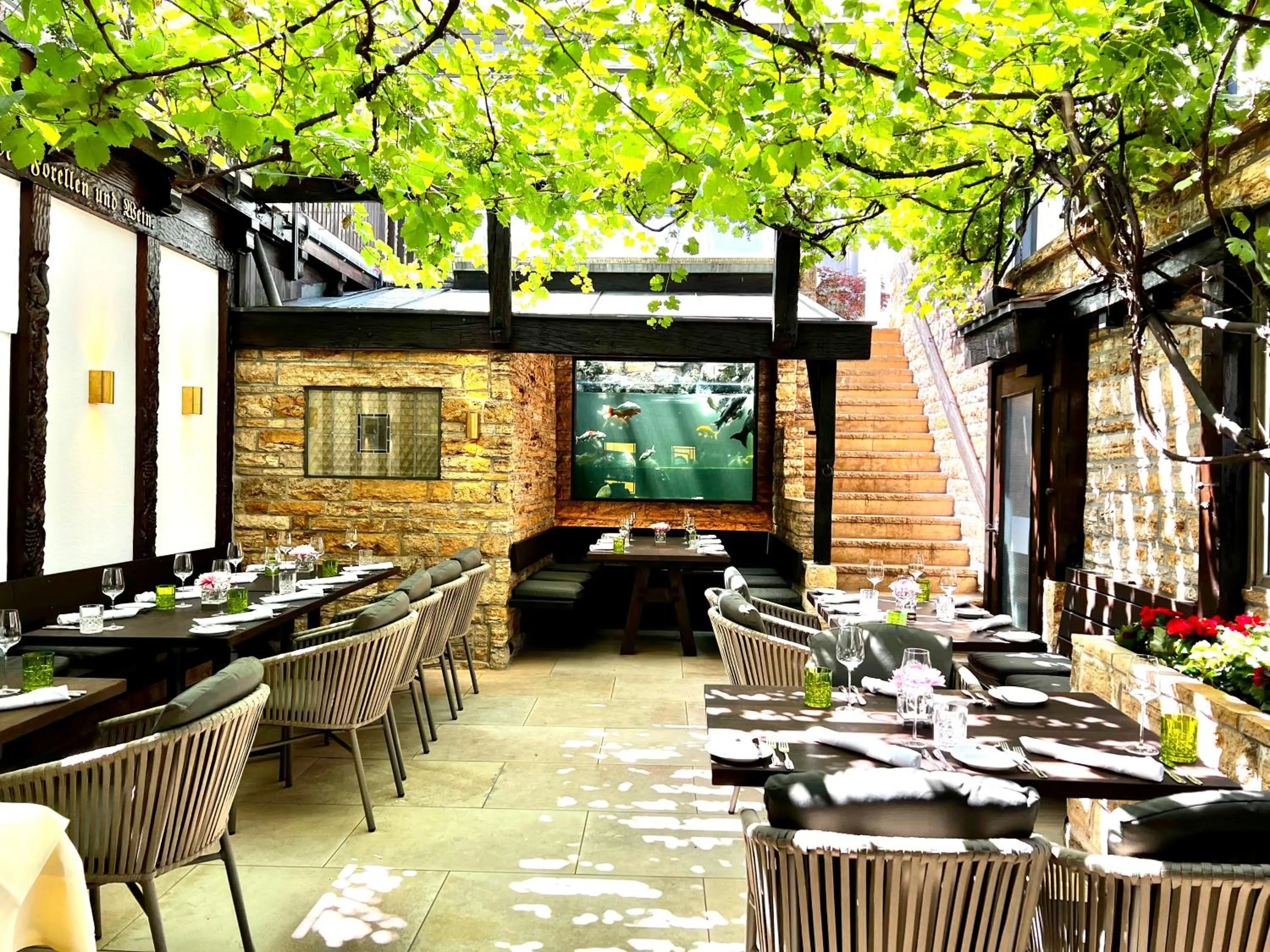 Restaurant/places to eat in Zur Weinsteige