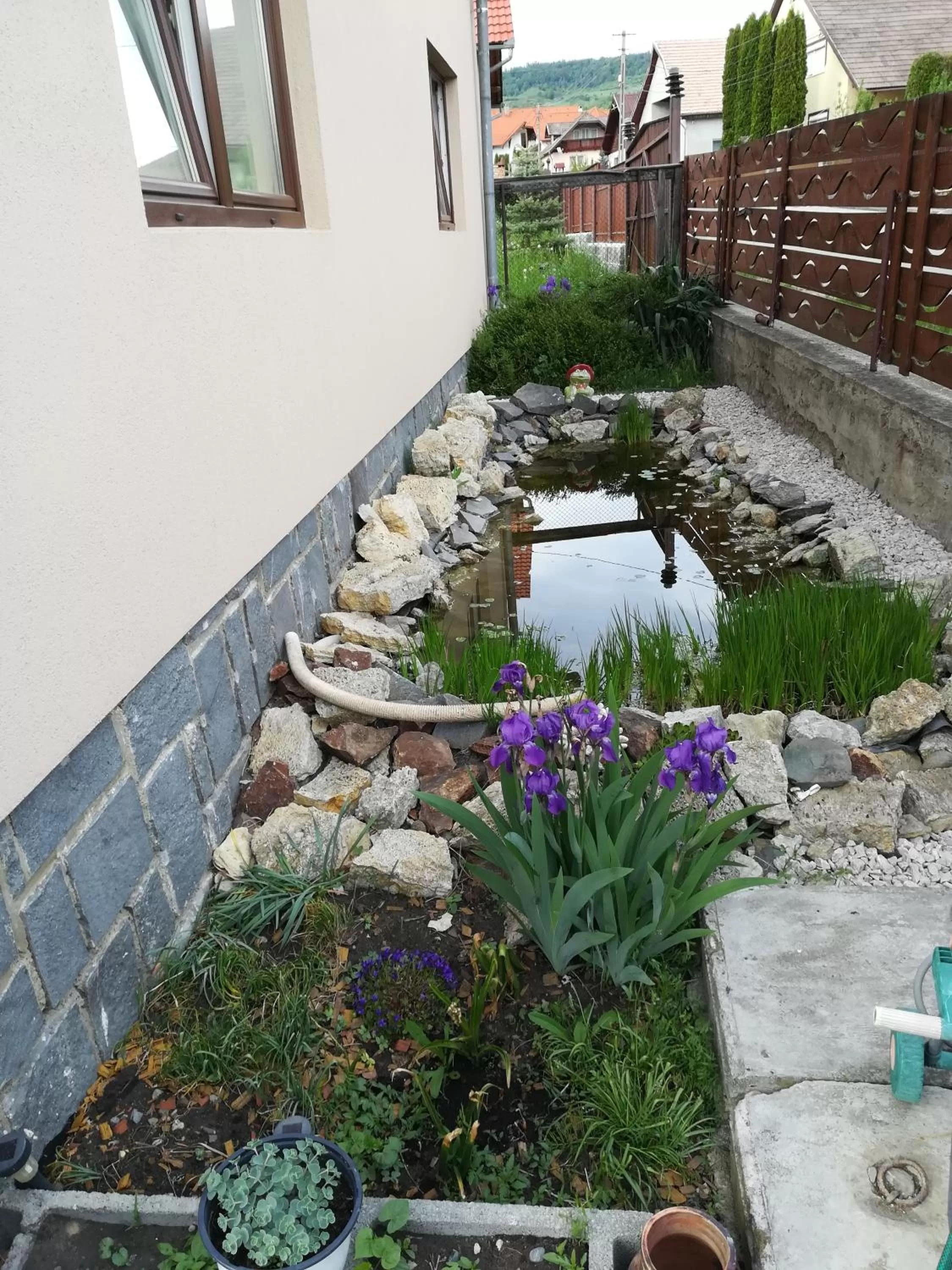 Garden in Nárcisz B&B