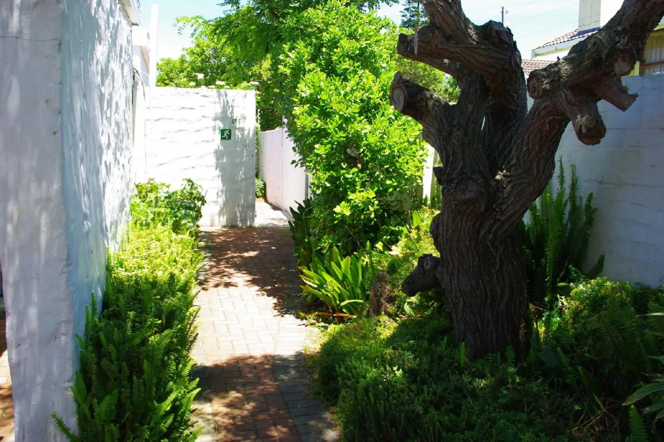 Garden in Aqua Marine Guest House