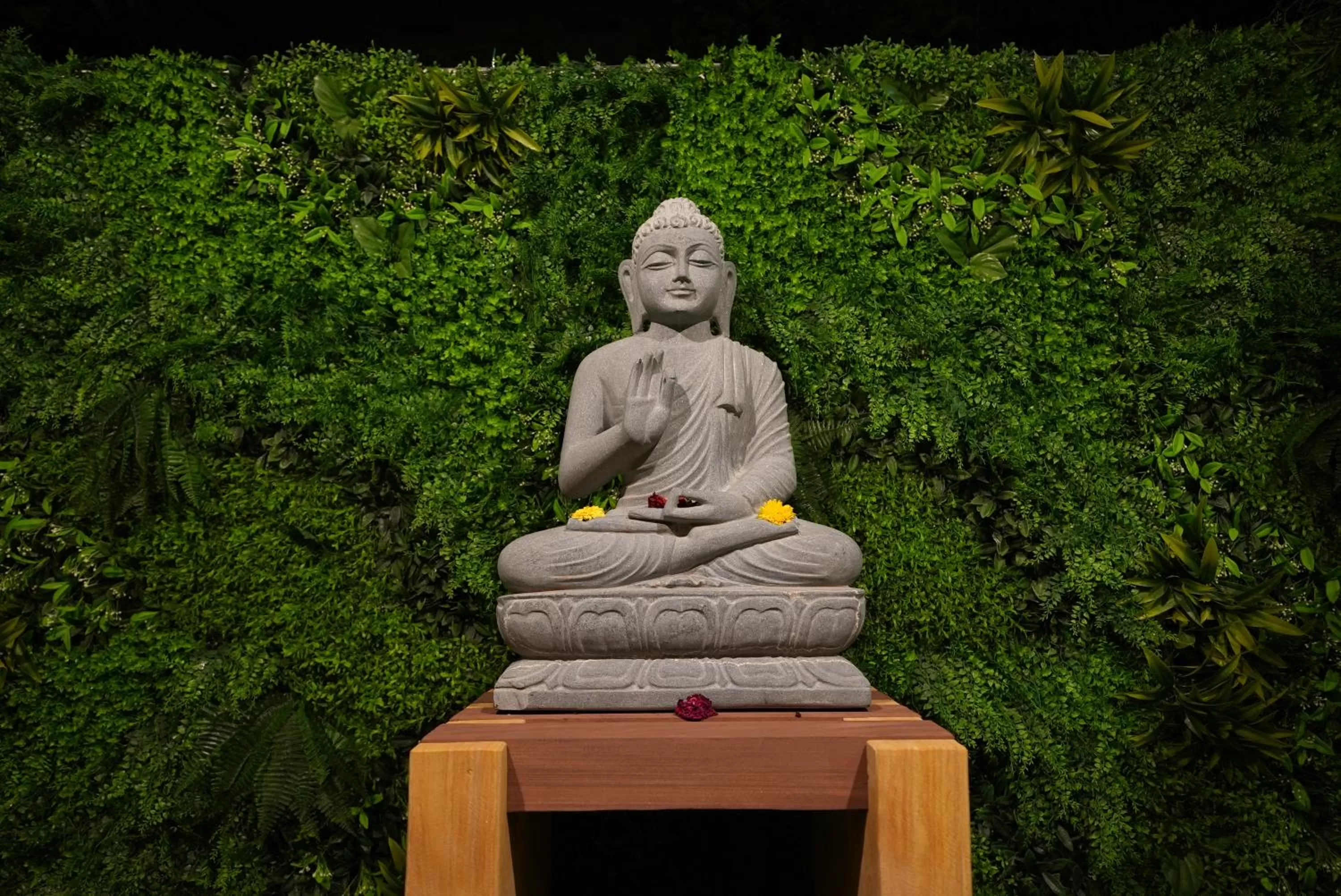 Night in Eden Park Boutique Hotel