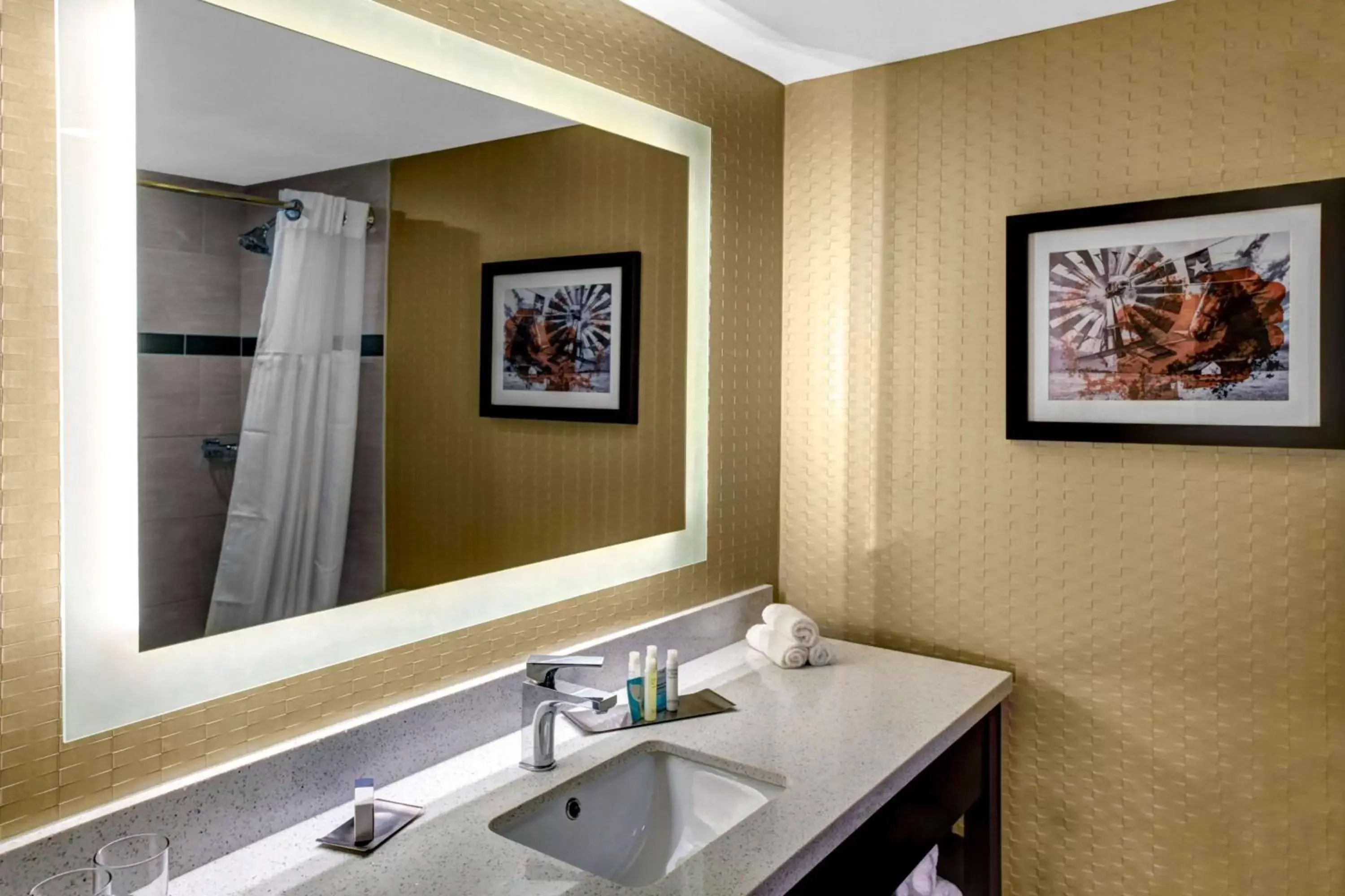 Bathroom in Doubletree by Hilton Arlington DFW South