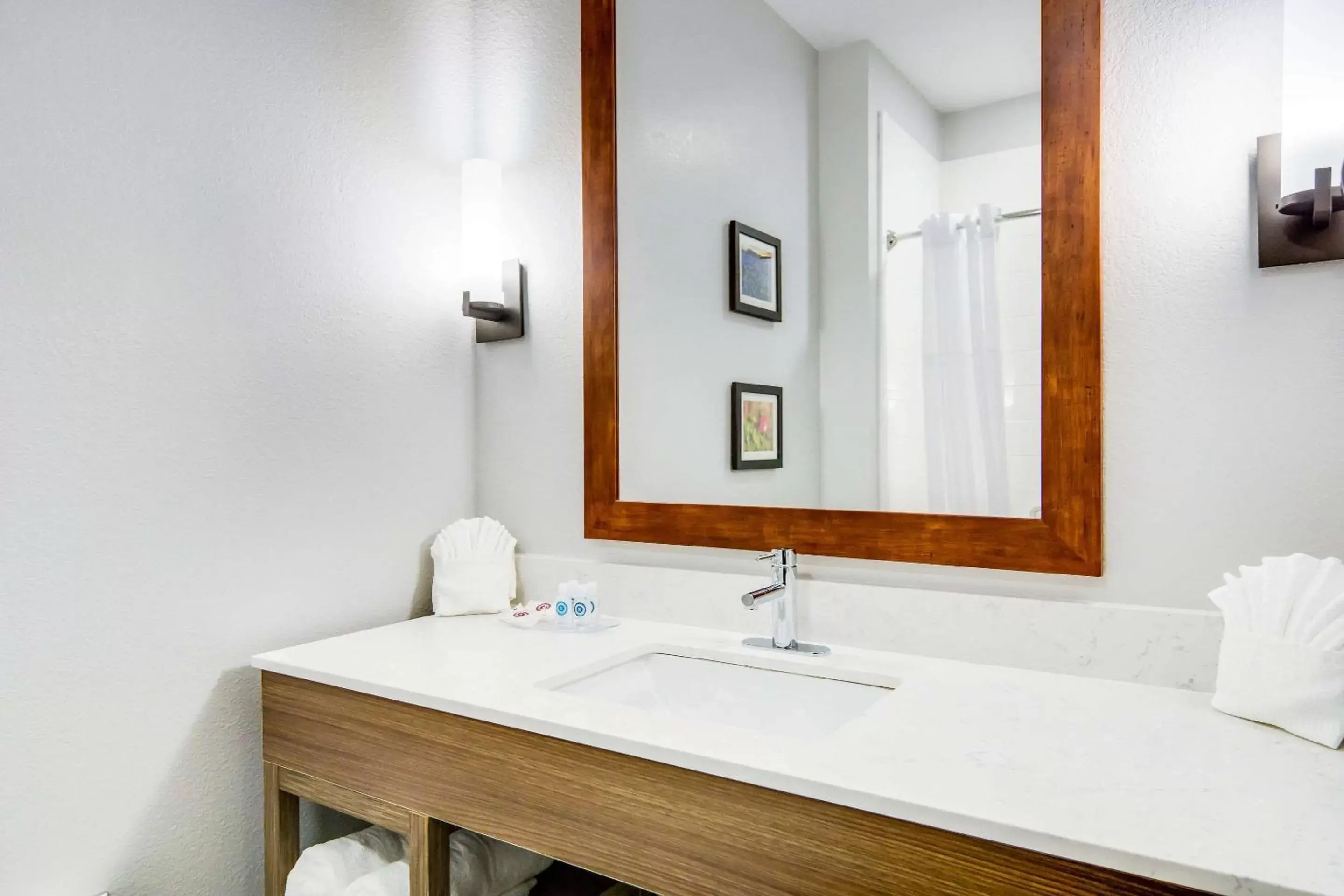 Bathroom in Comfort Suites DeSoto Dallas South
