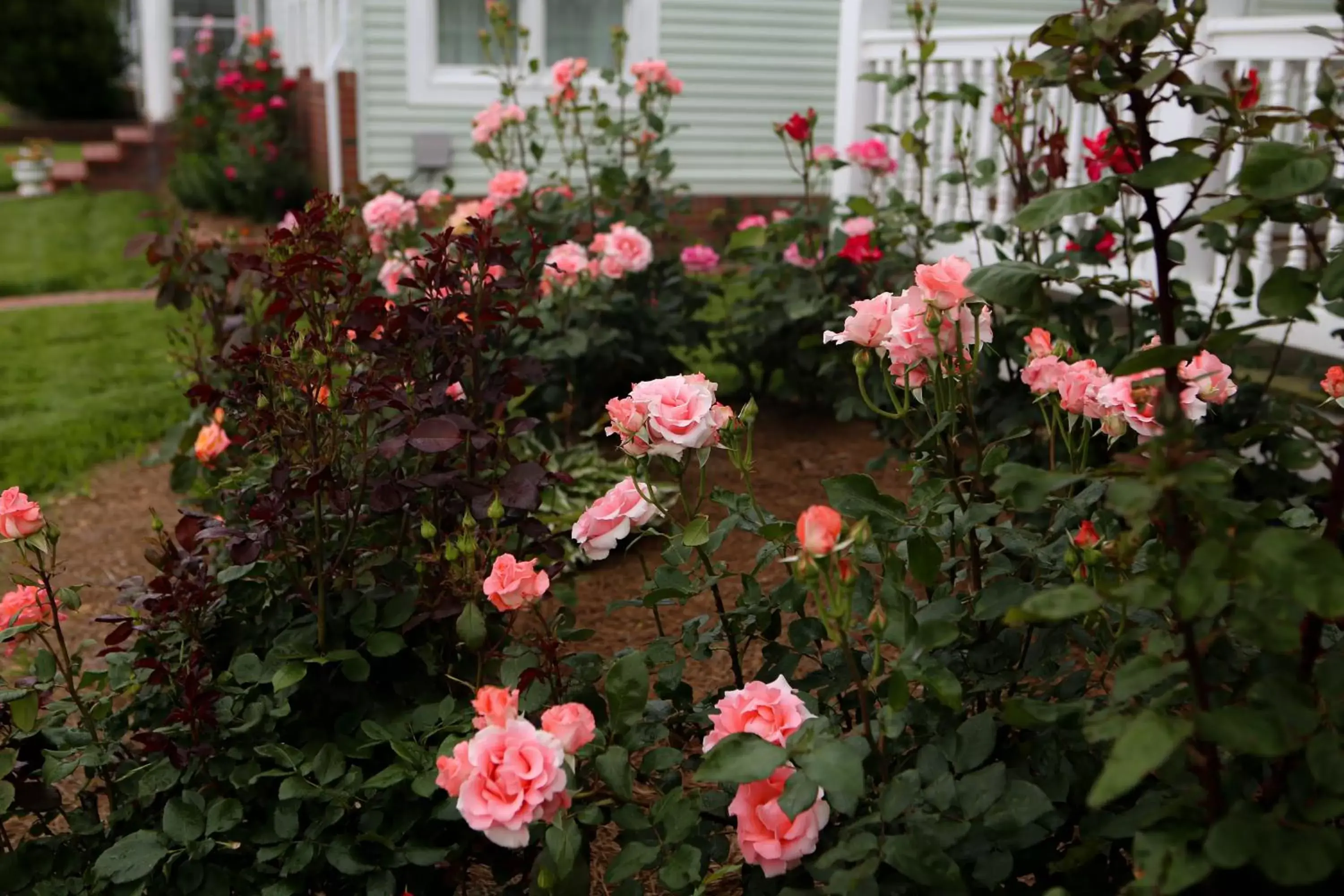 Garden in Waterside Inn