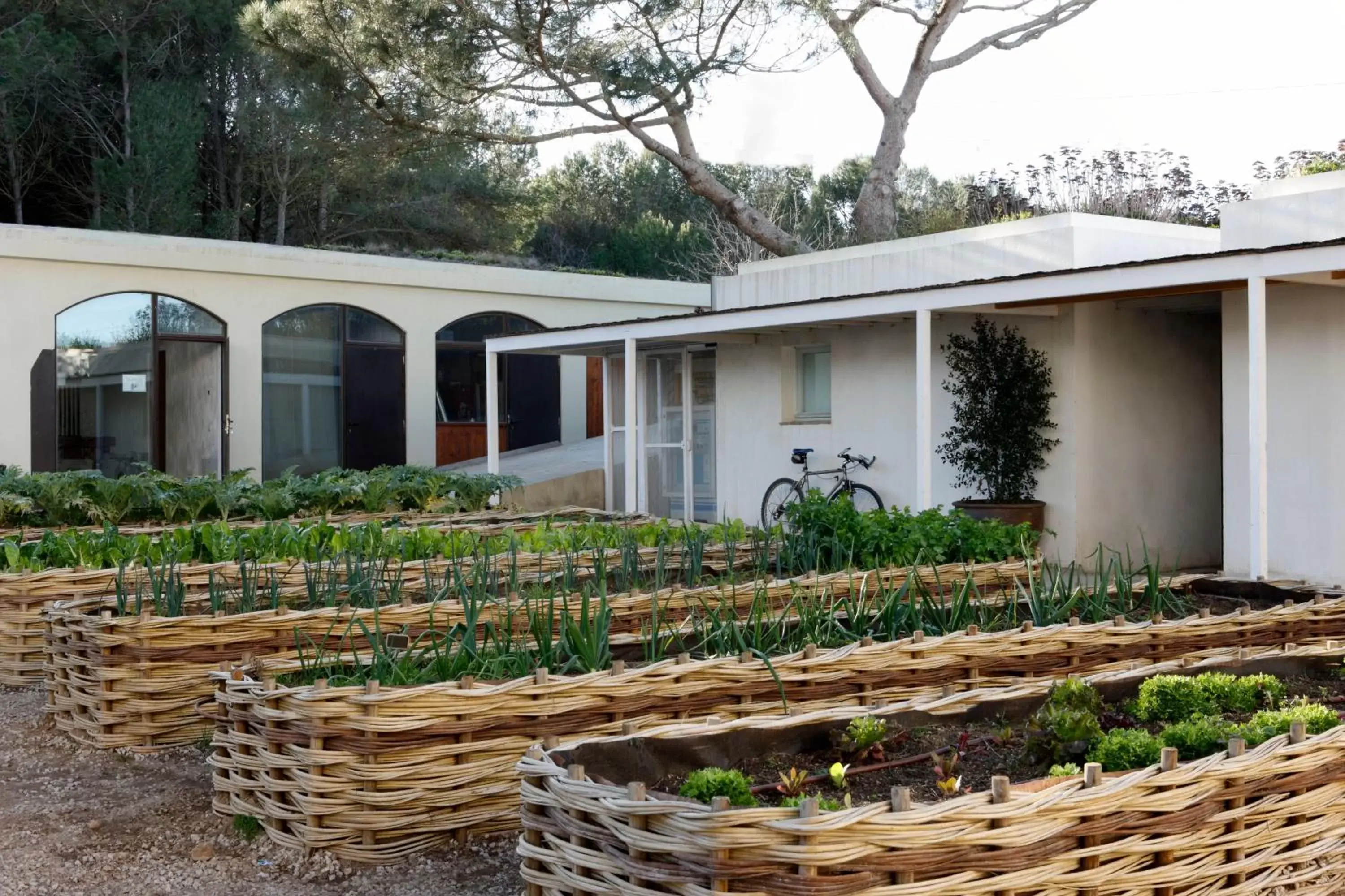 Garden, Property Building in Hostal Spa Empúries