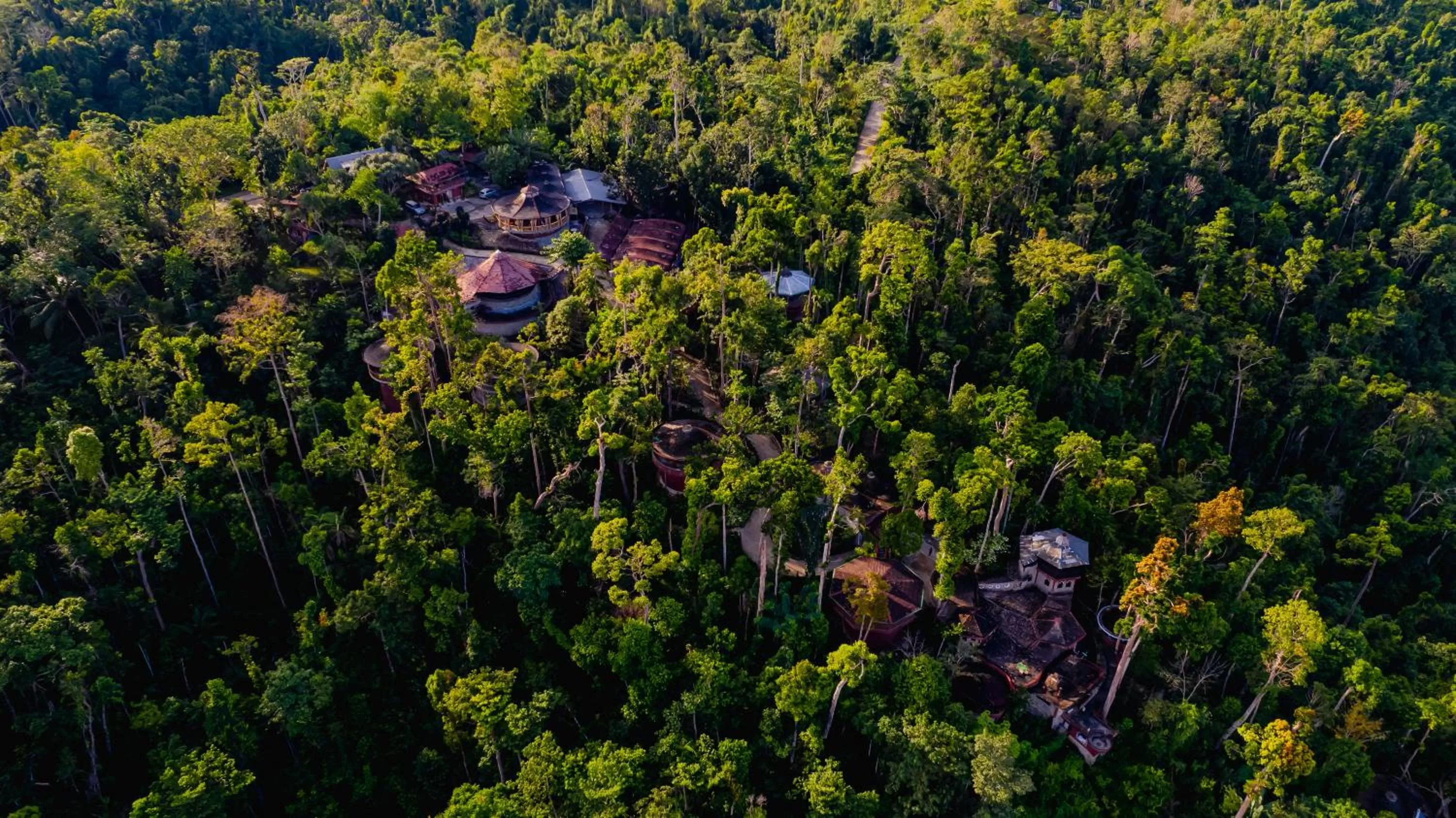 View (from property/room) in Atremaru Jungle Retreat