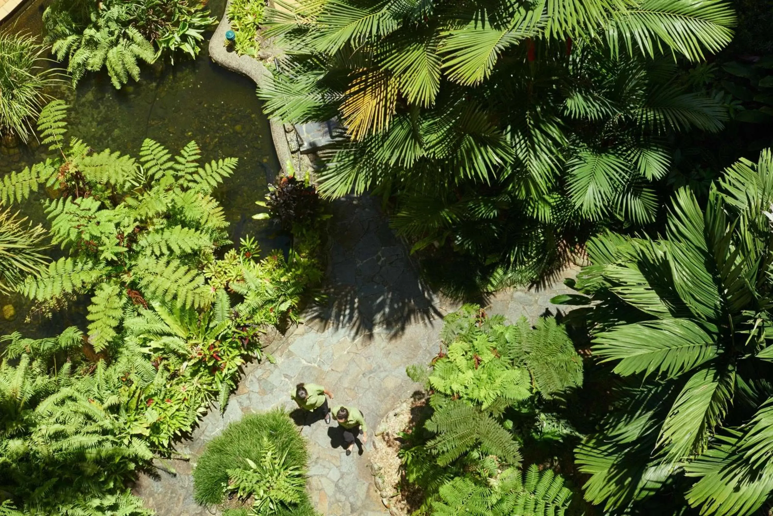 Garden in DoubleTree by Hilton Cairns