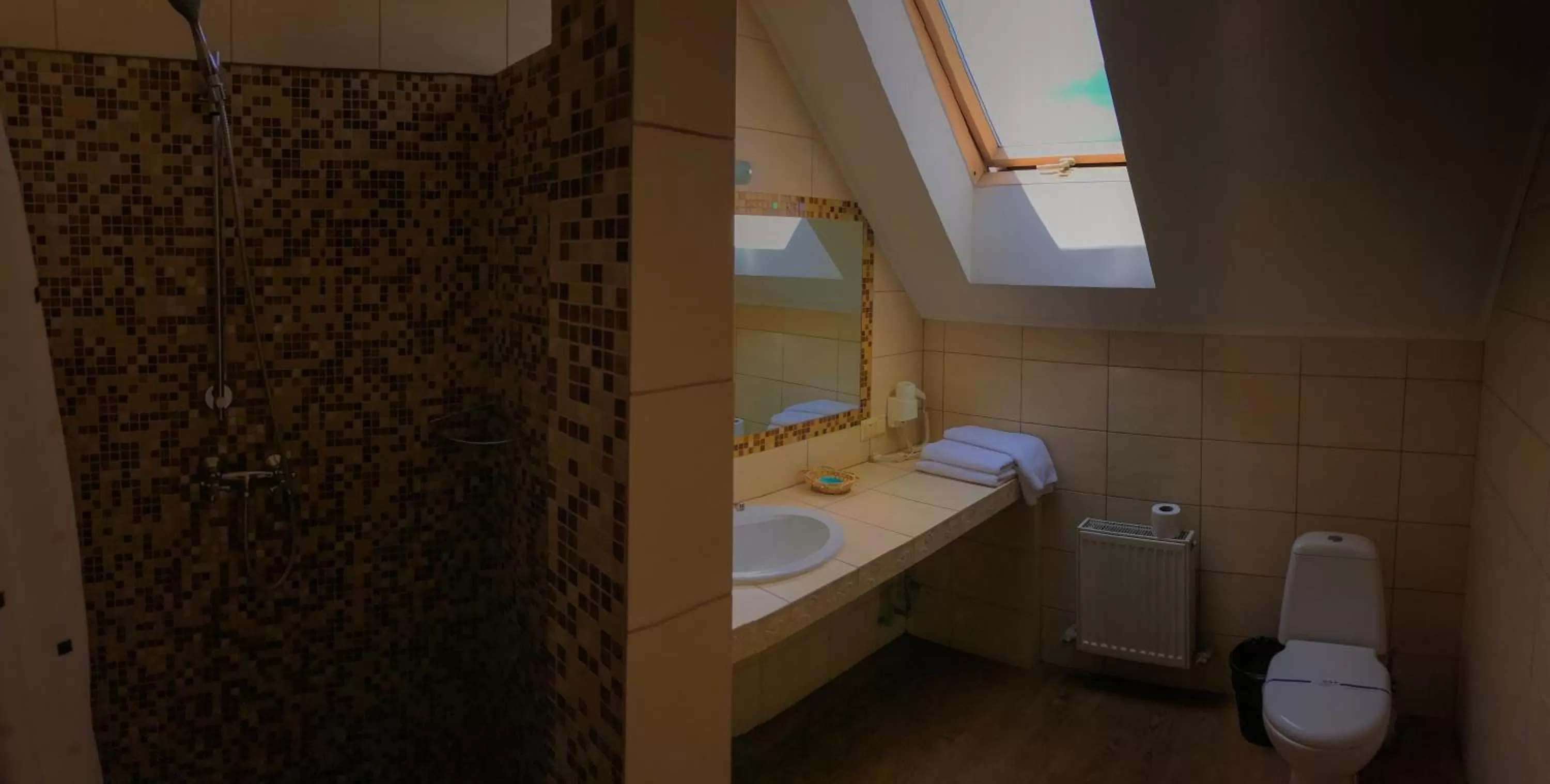 Shower in Pivdenna Brama