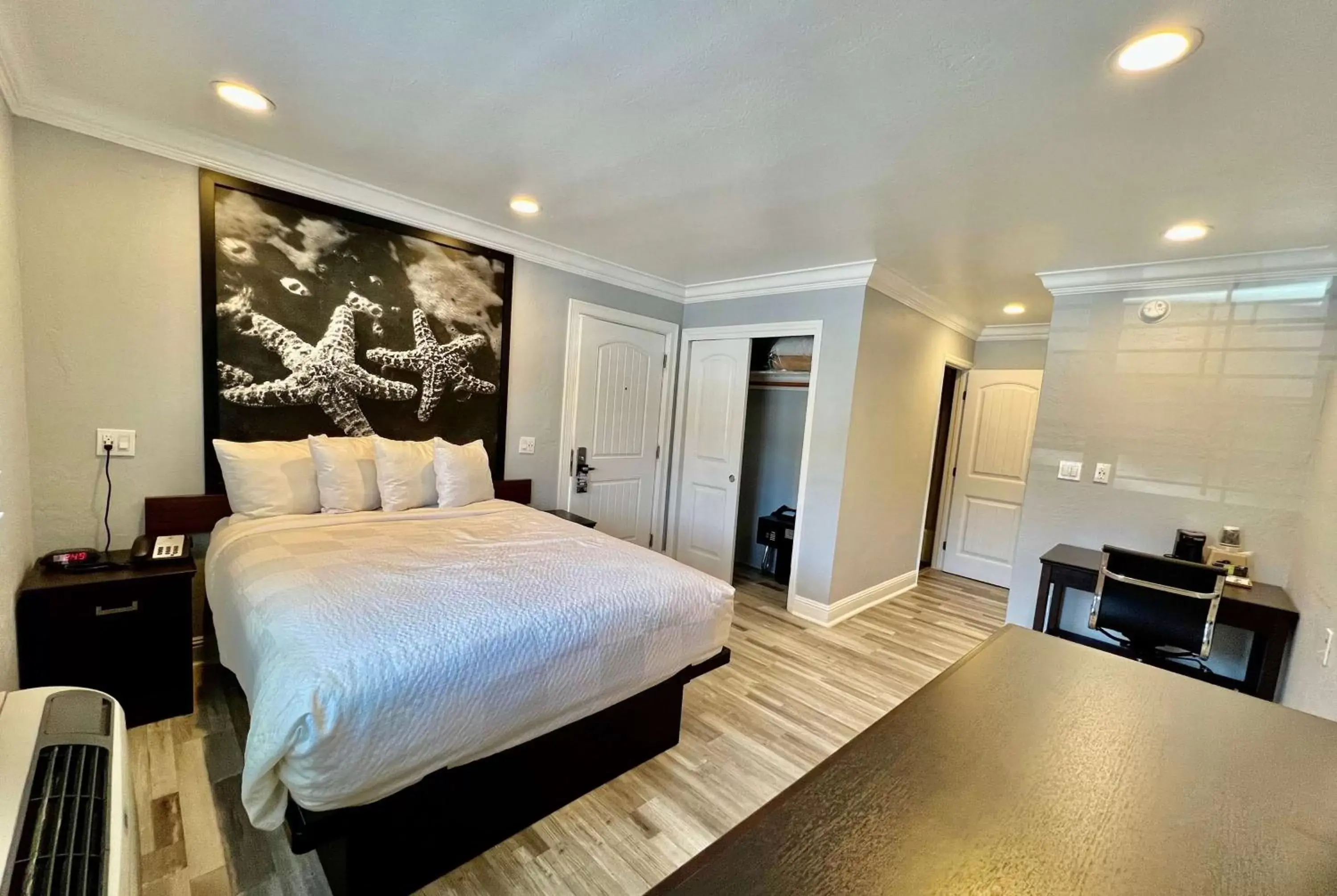 Photo of the whole room, Bed in Aura Inn Monterey Photo of the whole room, Bed in Aura Inn Monterey