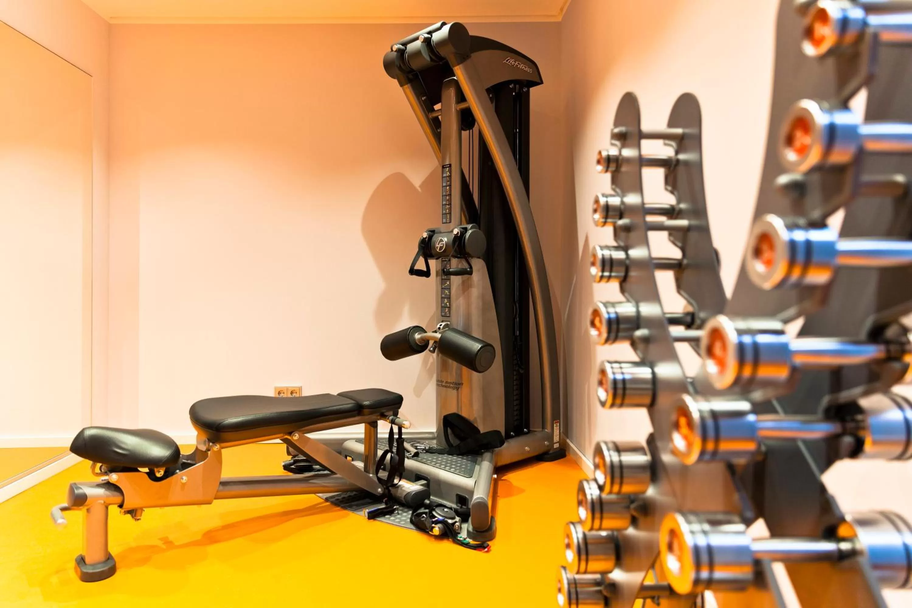 Fitness centre/facilities, Fitness Center/Facilities in Holiday Inn Dresden - City South, an IHG Hotel