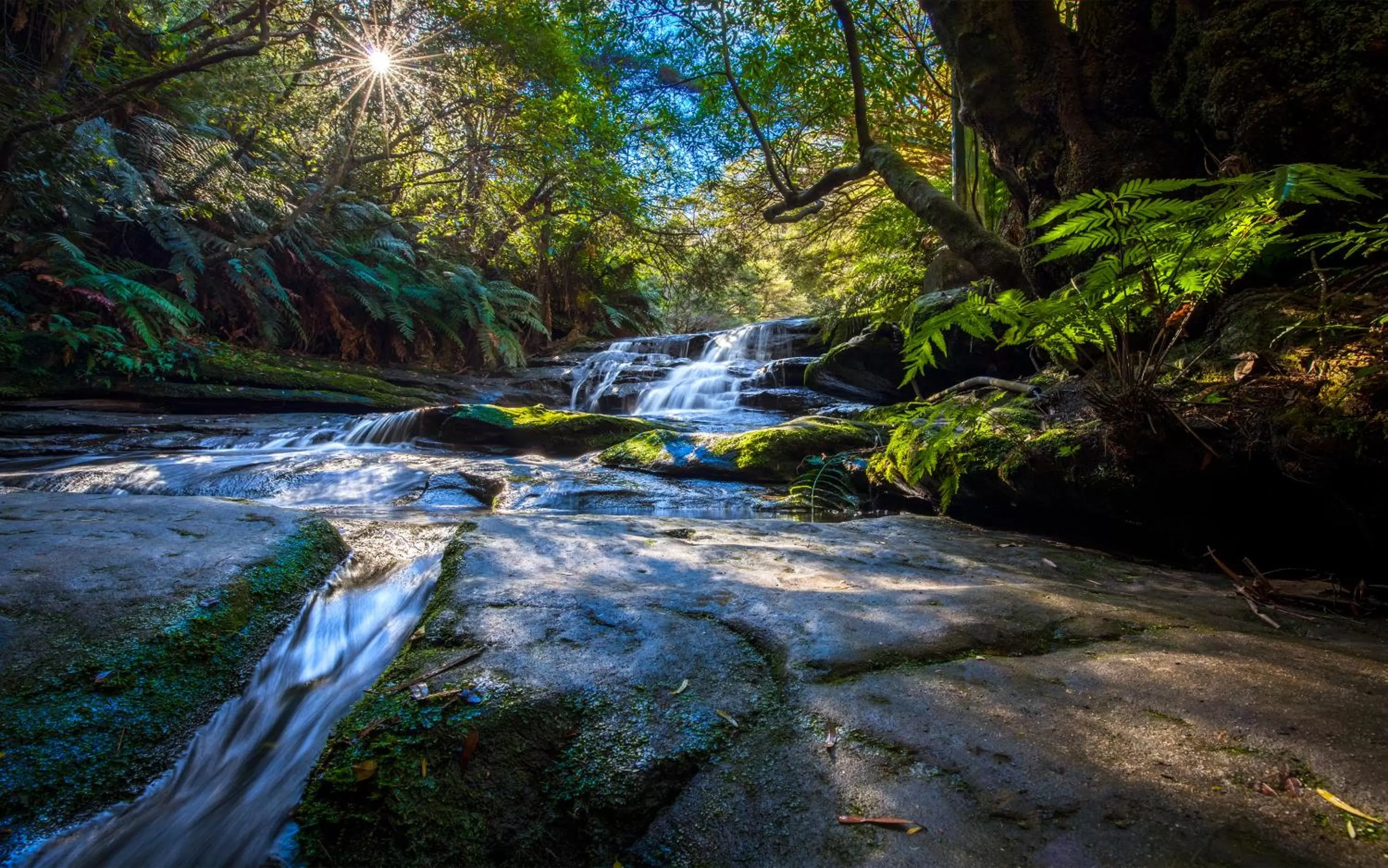 Natural landscape in Sky Rider Motor Inn