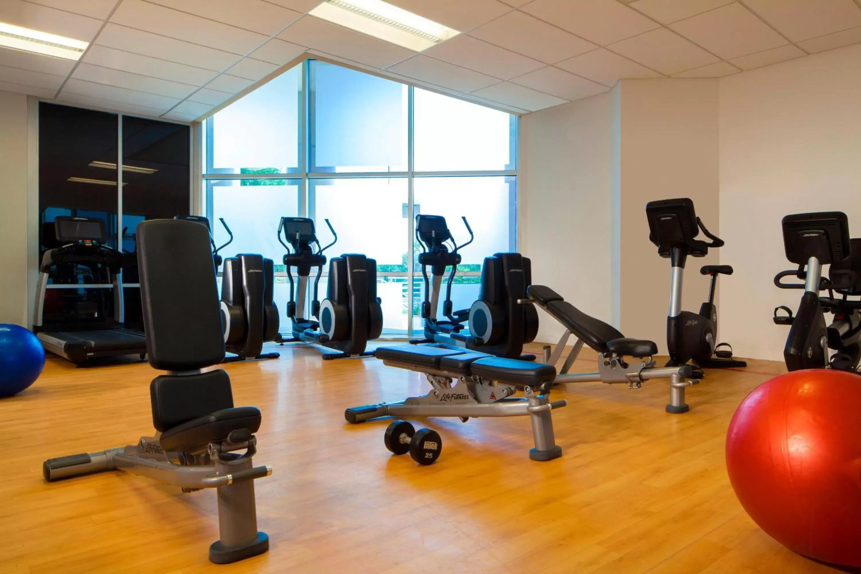 Fitness centre/facilities, Fitness Center/Facilities in Sheraton Arlington Hotel