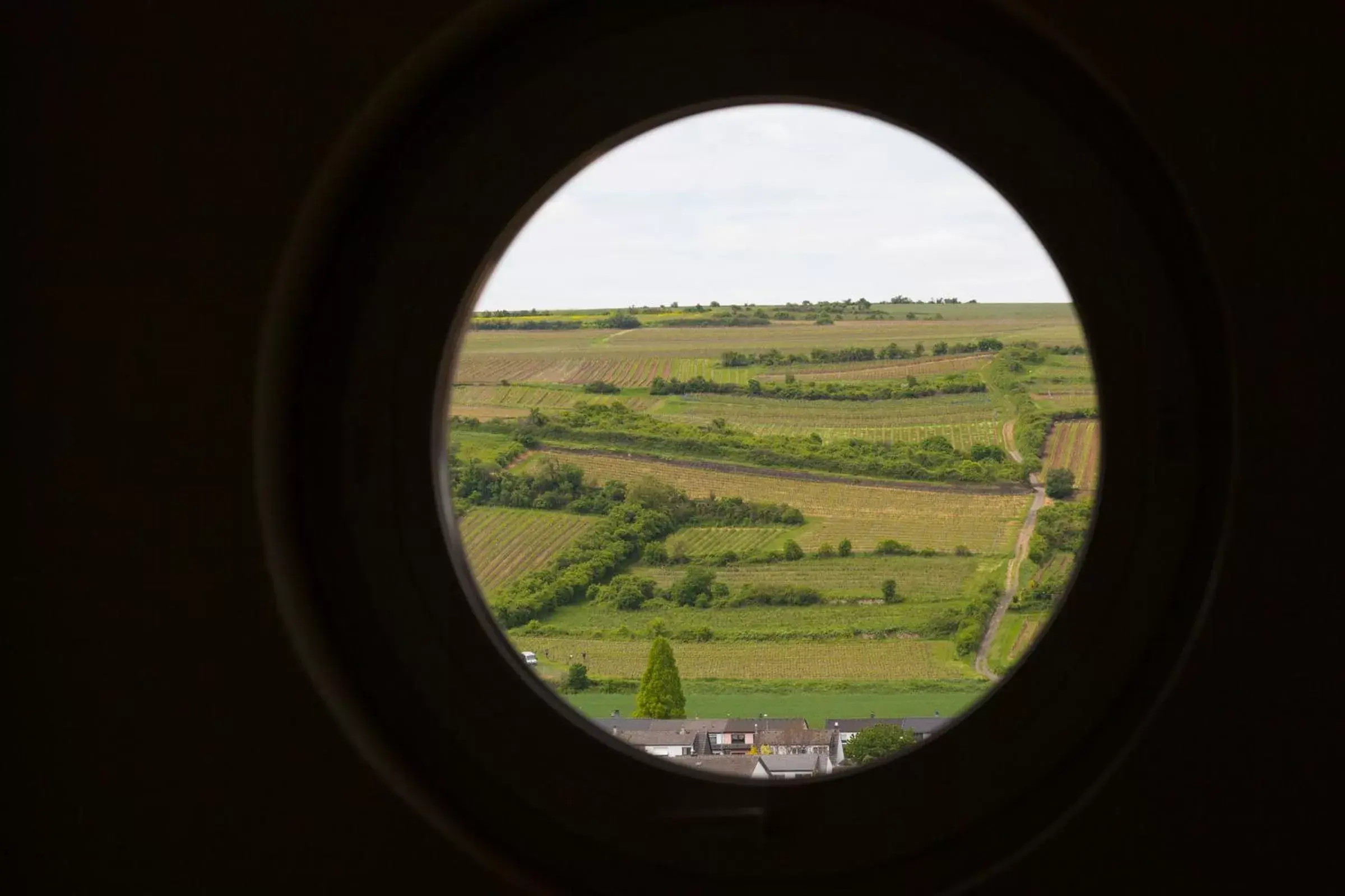View (from property/room) in Pfalzhotel Asselheim View (from property/room) in Pfalzhotel Asselheim