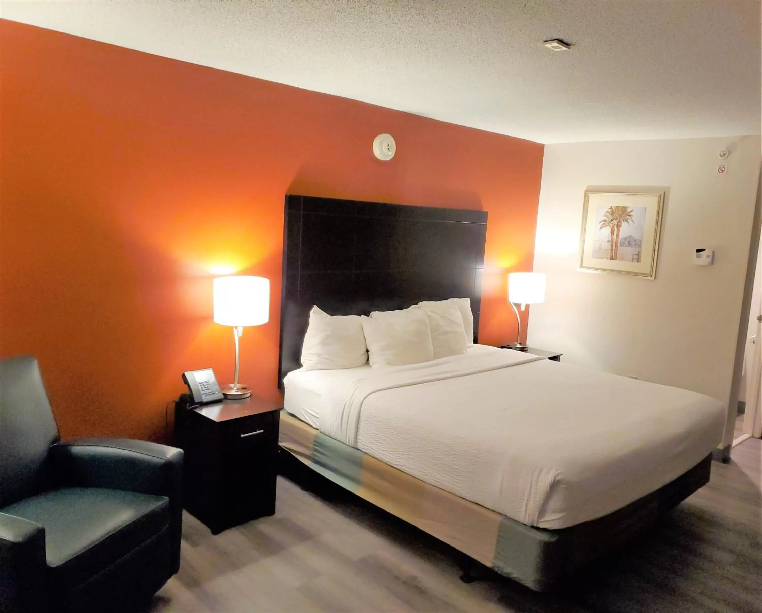 Bedroom, Bed in La Quinta Inn by Wyndham Tampa Near Busch Gardens