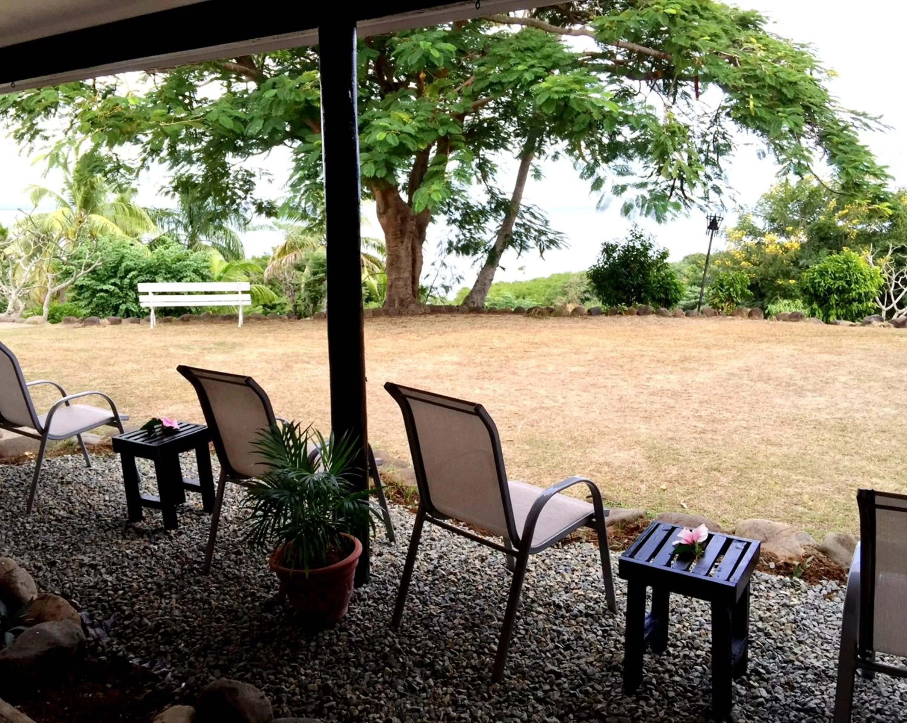 Natural landscape, Garden in Anchorage Beach Resort