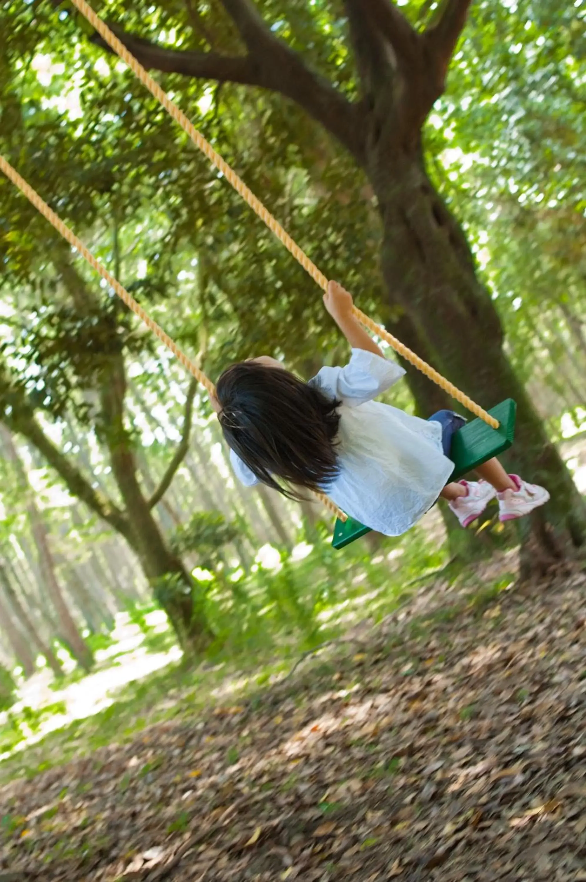 young children, Children in Luxze Hitotsuba/Cottage Himuka