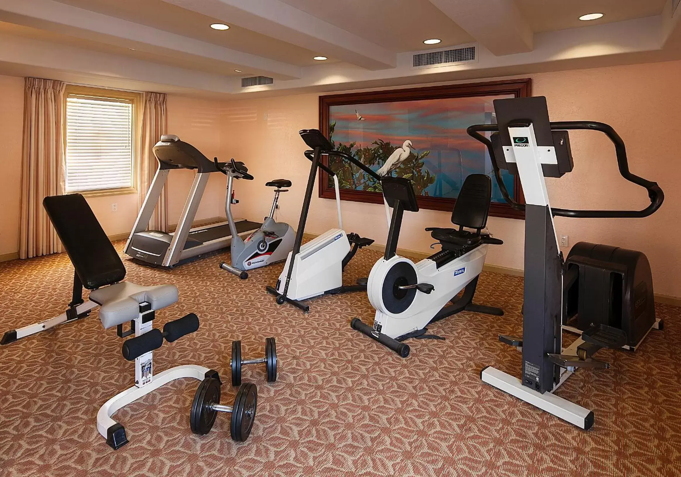 Fitness centre/facilities, Fitness Center/Facilities in Sandpiper Lodge - Santa Barbara