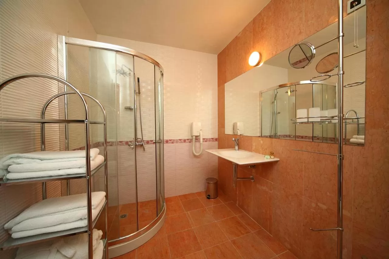 Shower in Hotel City Pleven
