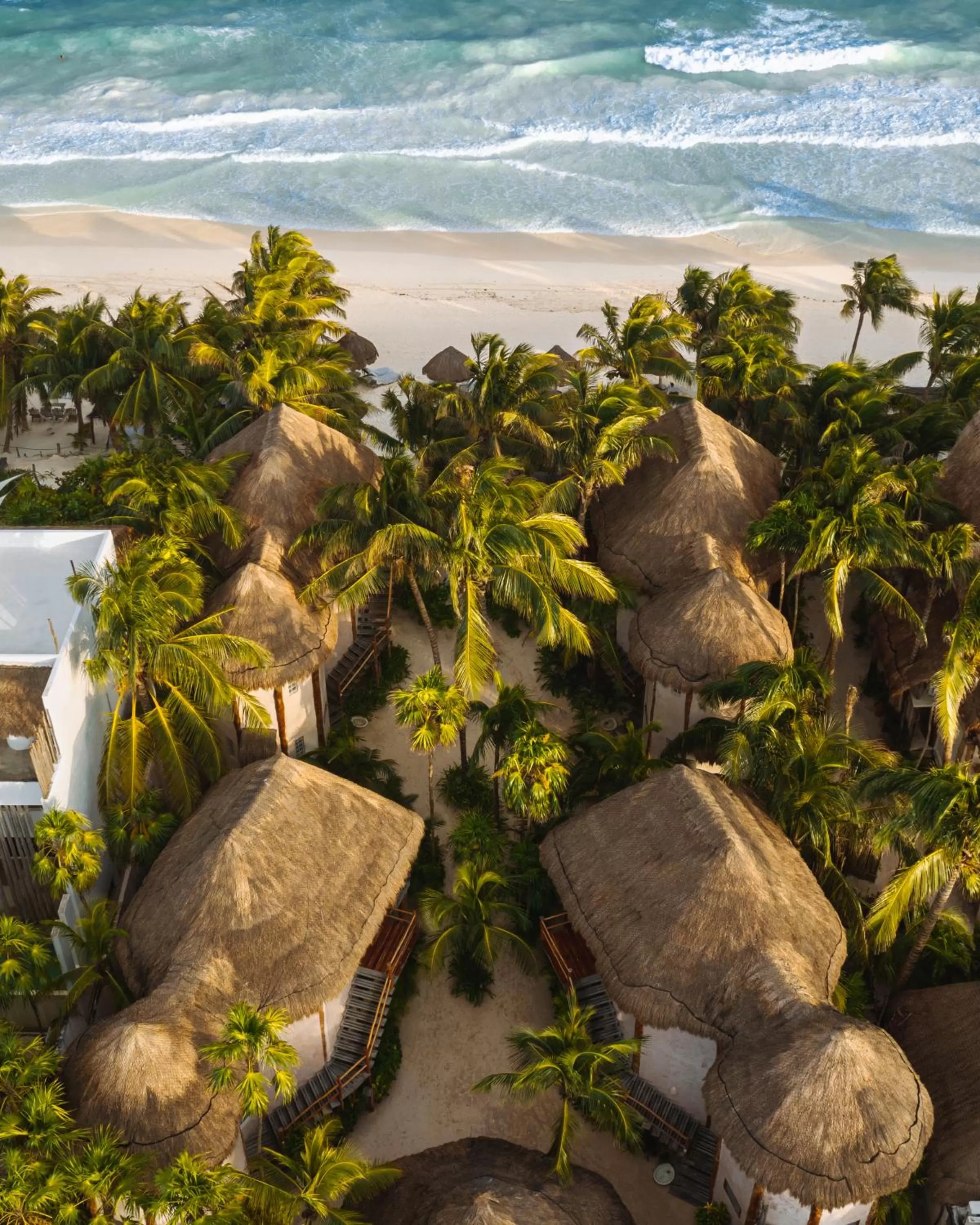 Bird's eye view in Encantada Tulum