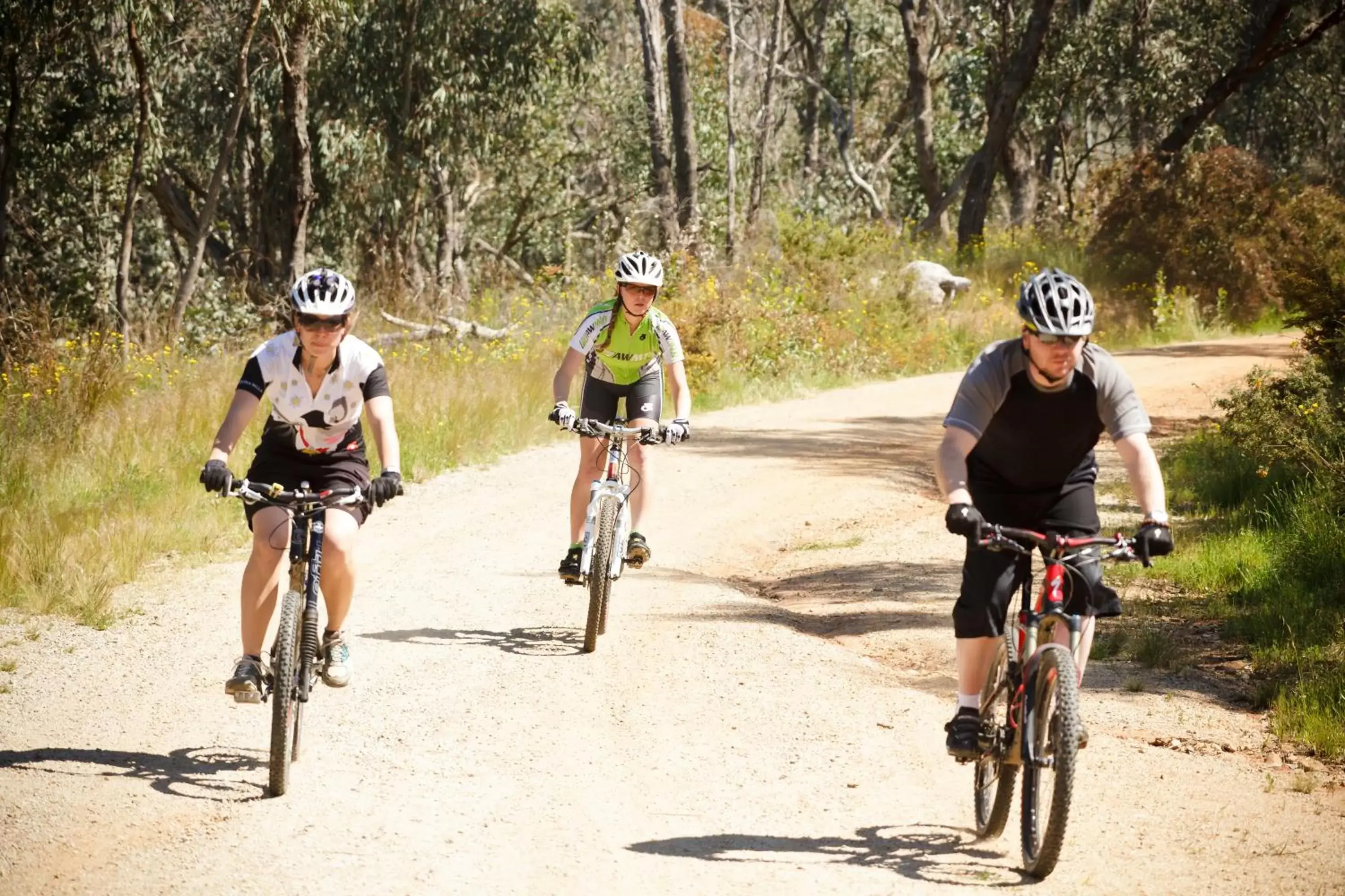 Activities, Biking in Mercure Albury