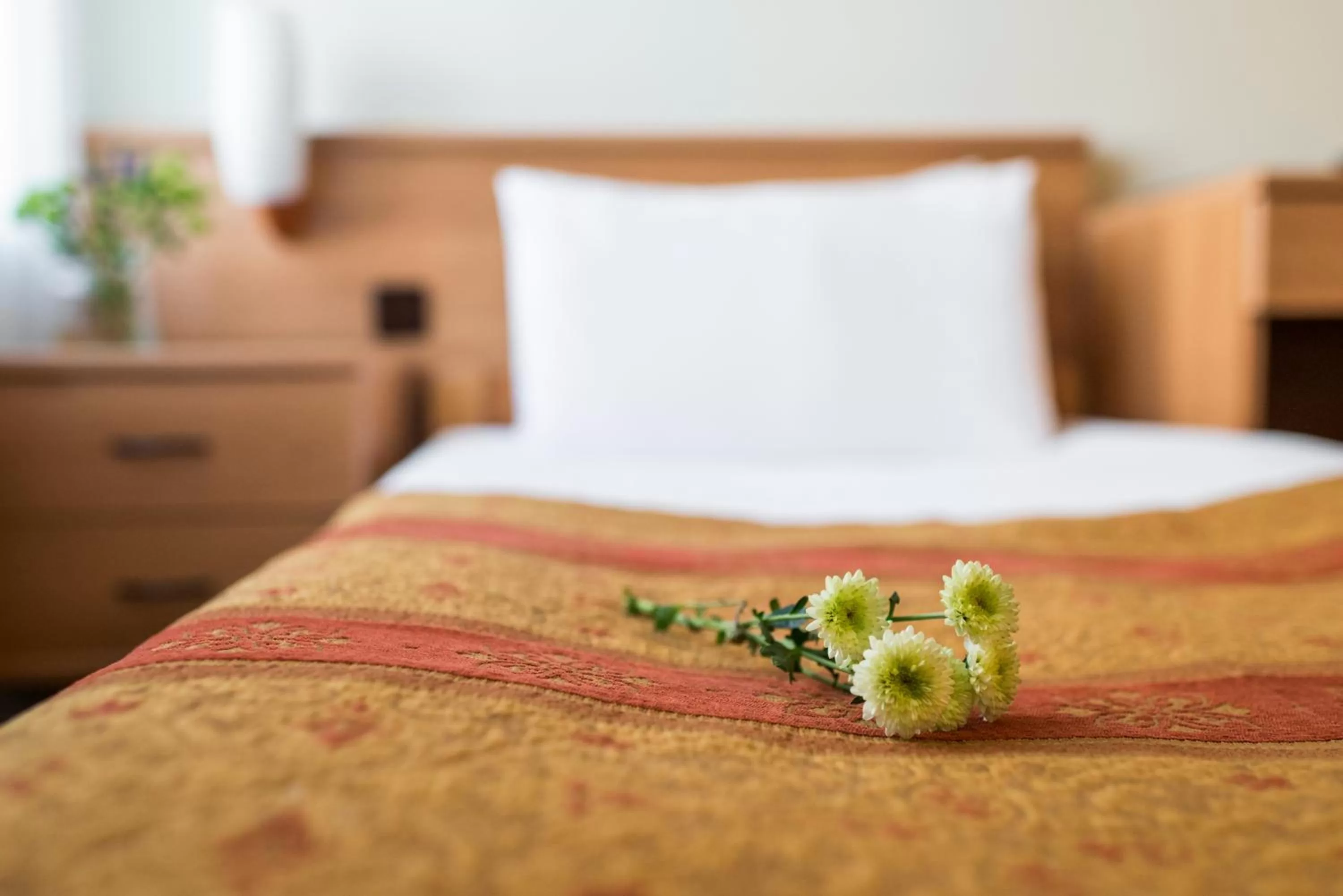 Bed in BEST BALTIC Kaunas