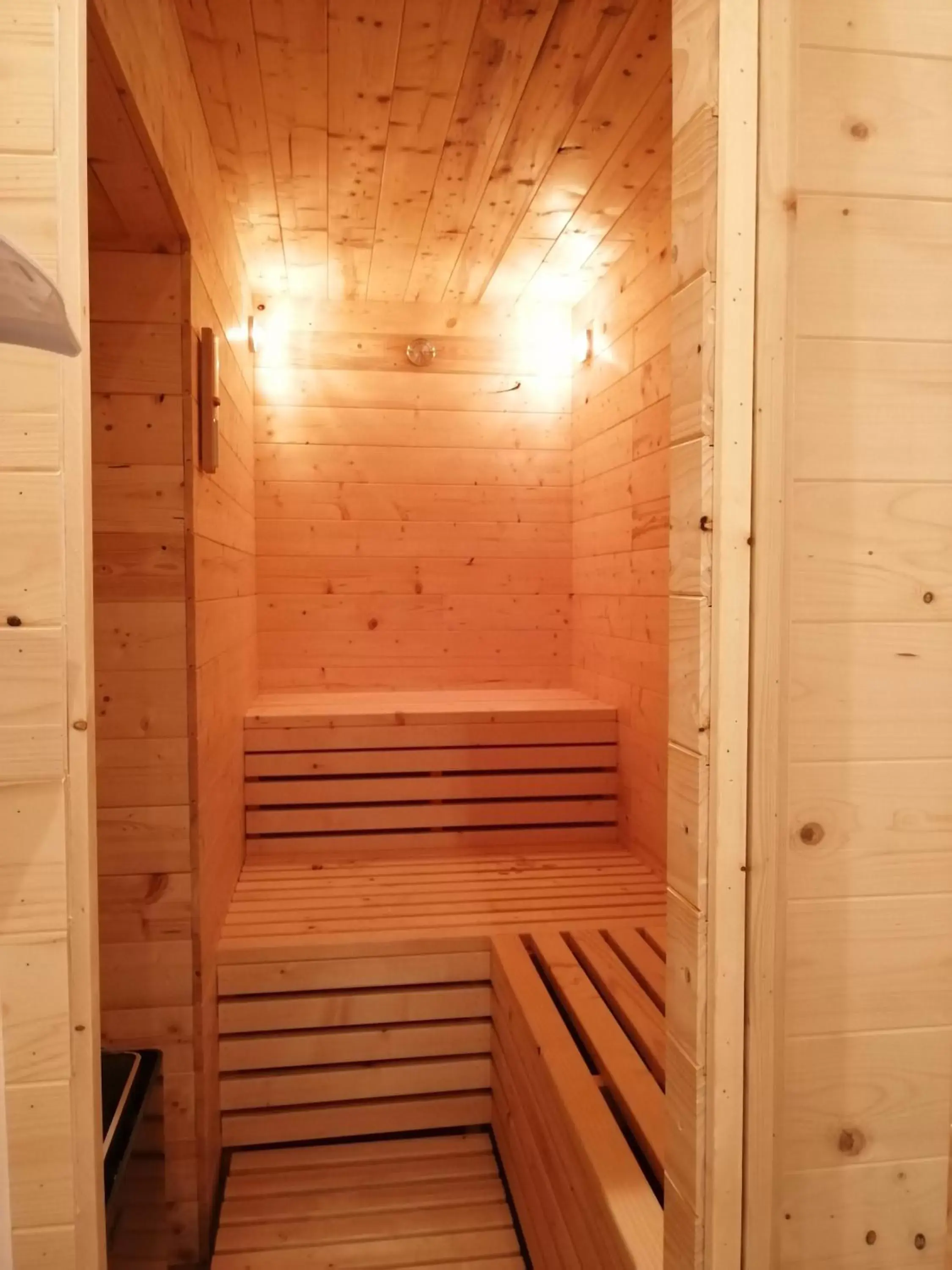 Sauna in Villa Kinga