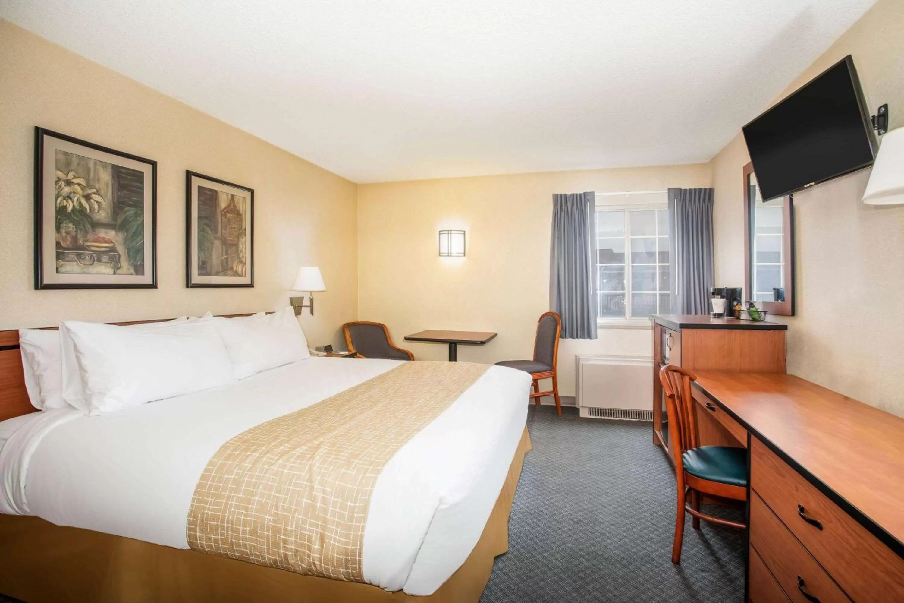 Photo of the whole room, Bed in Travelodge by Wyndham Colorado Springs Airport - Peterson SFB