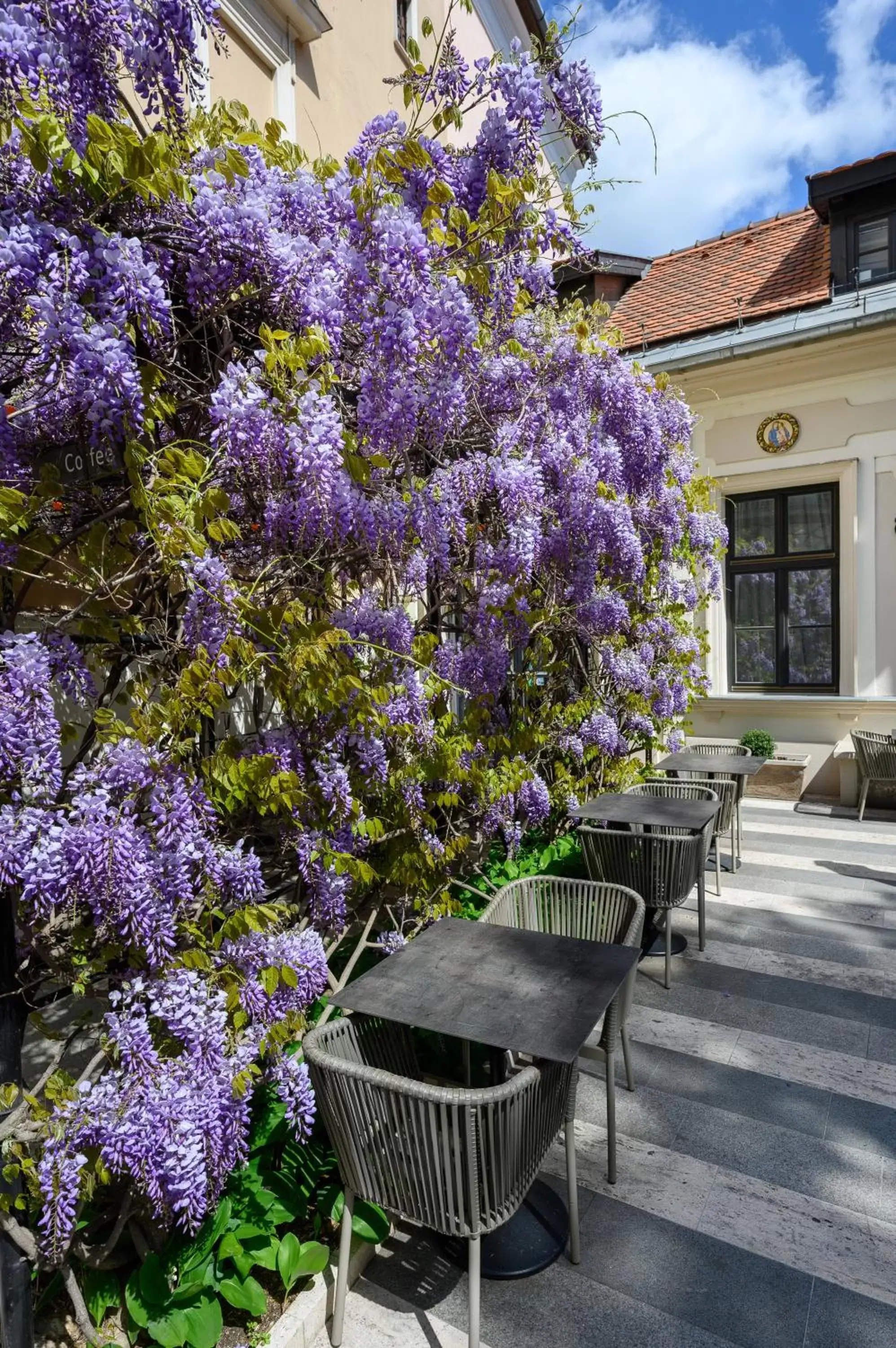 Spring in Maison Bistro & Hotel
