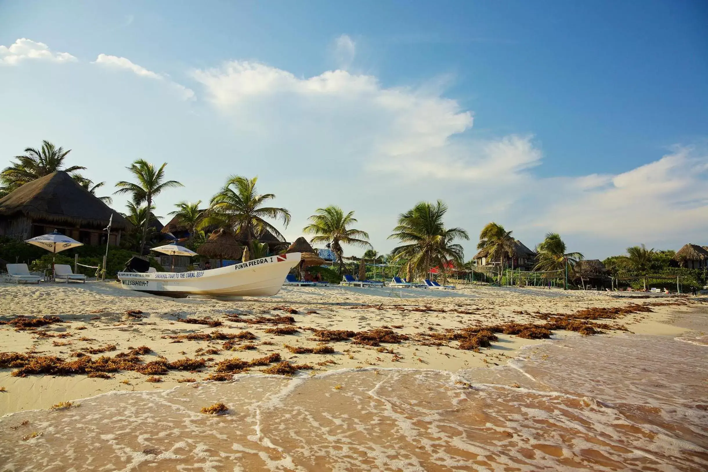 Beach in Punta Piedra Beach Posada