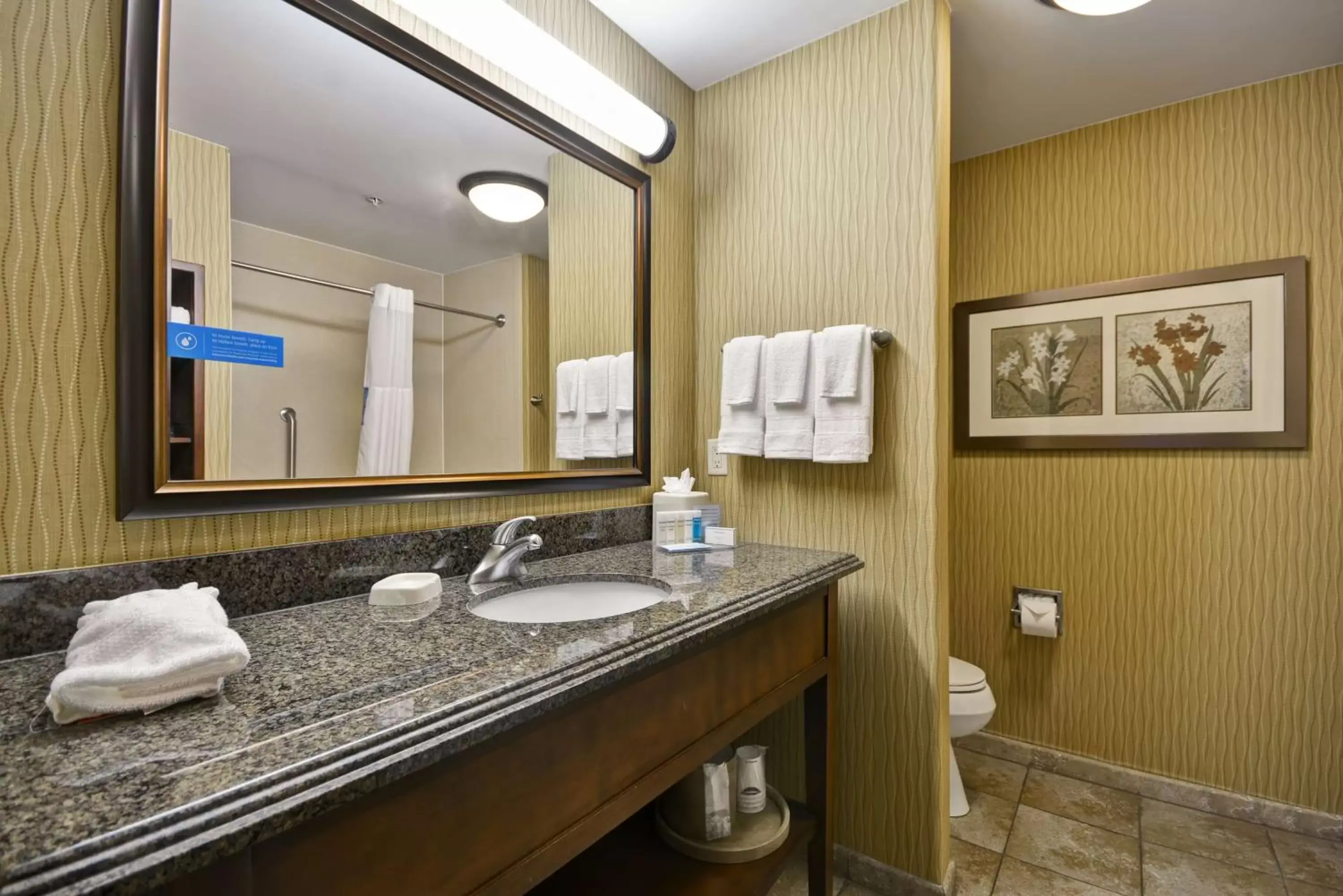Bedroom, Bathroom in Hampton Inn & Suites Brenham