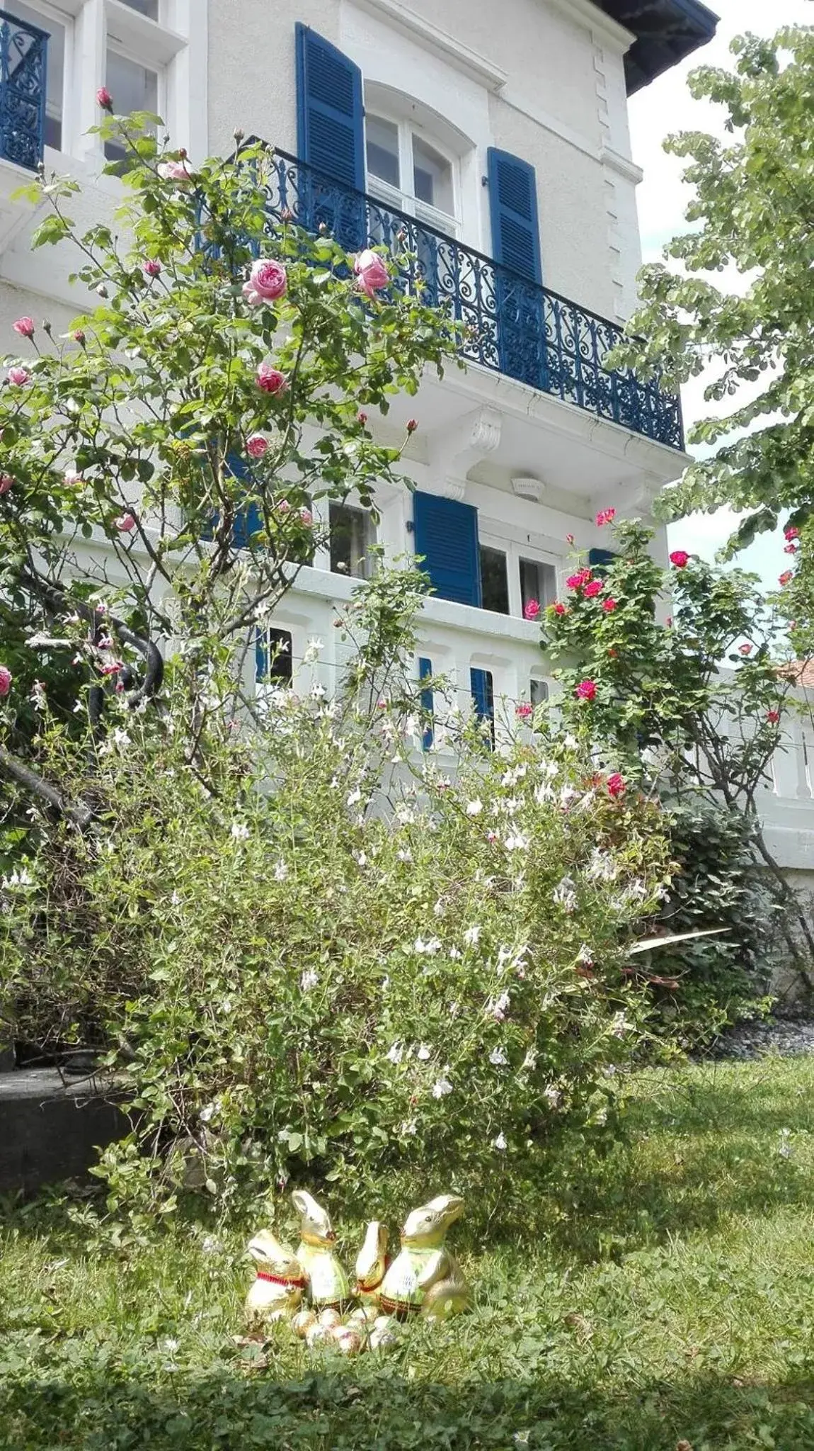 Property Building in Hotel Edouard VII