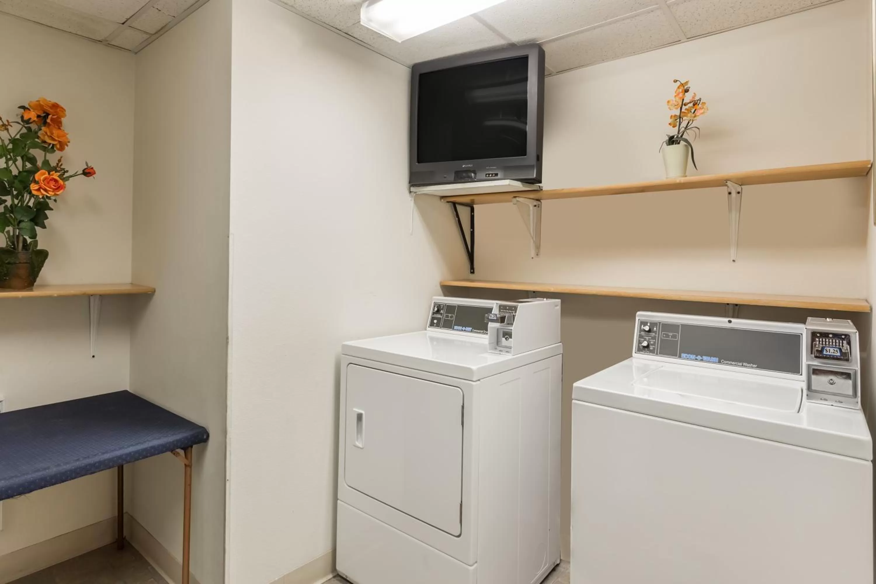 Area and facilities in Super 8 by Wyndham Germantown/Milwaukee