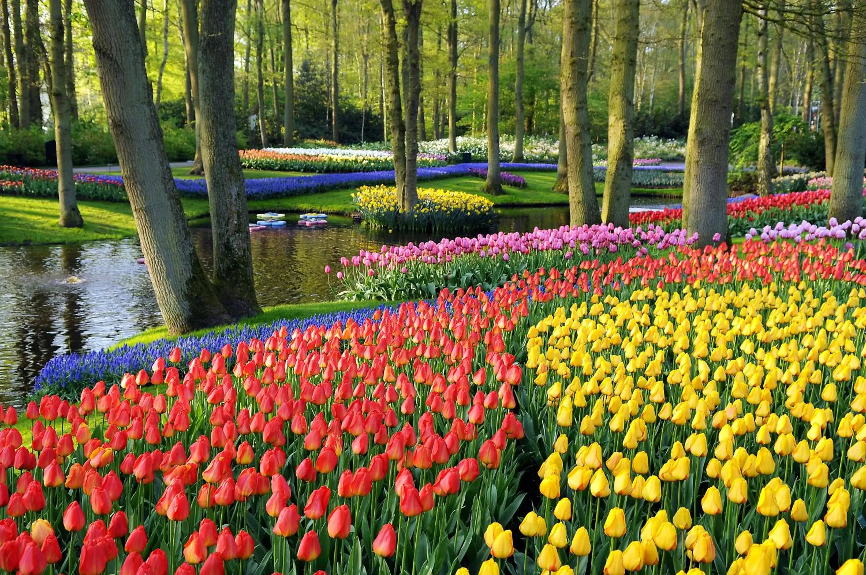 Nearby landmark in Van der Valk Hotel Leiden