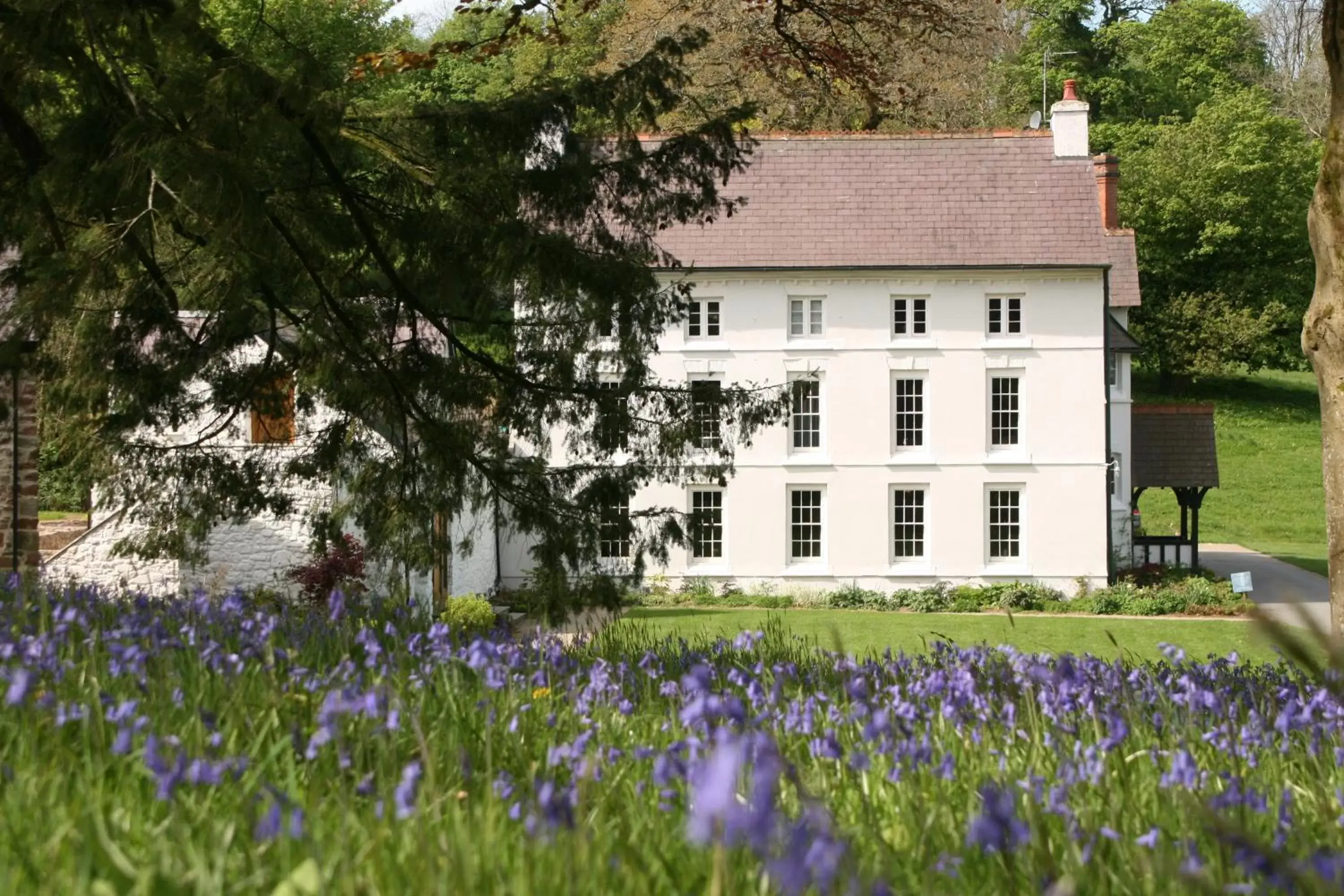 Property Building in Grove of Narberth