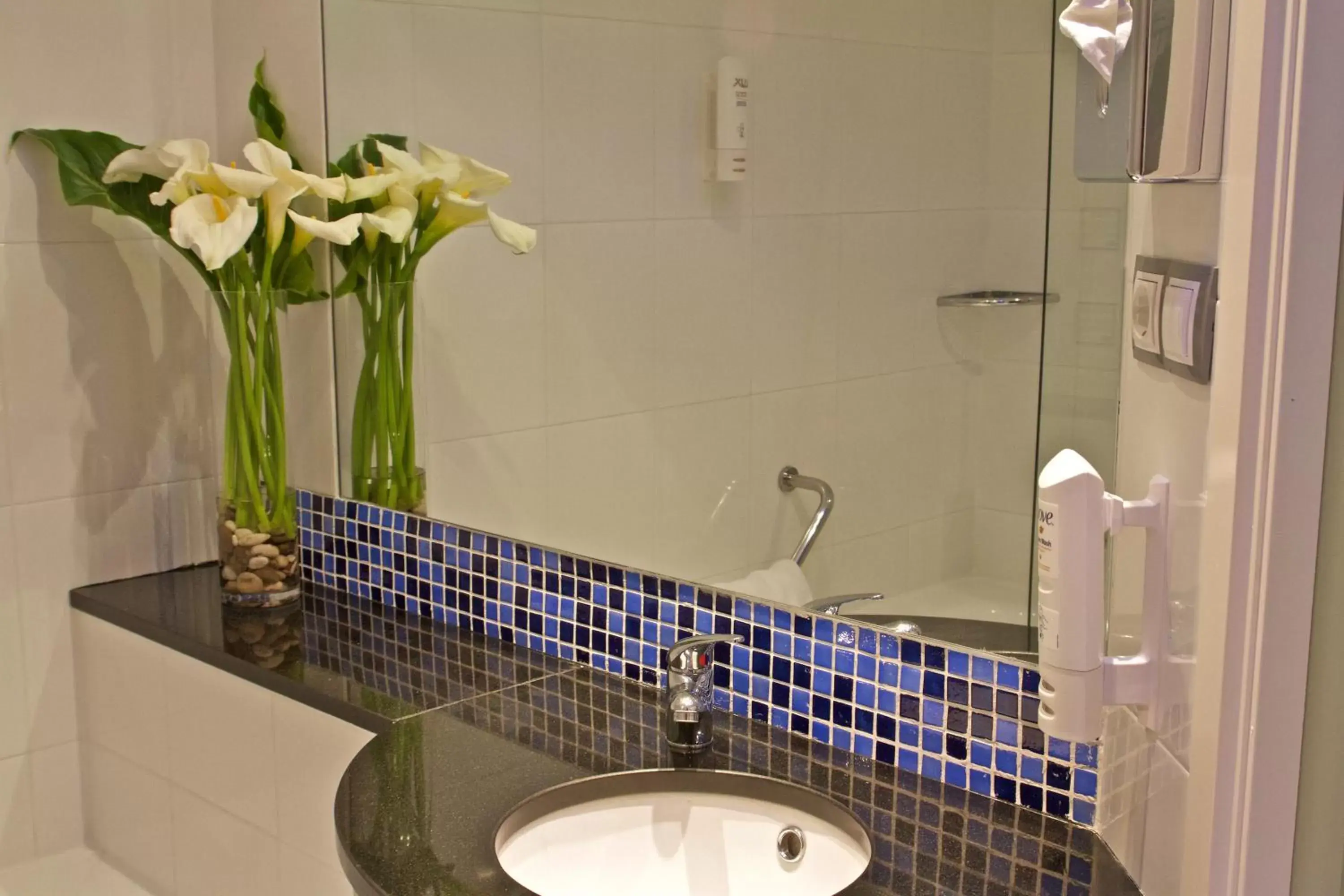 Bathroom in Holiday Inn Express Campo de Gibraltar-Barrios, an IHG Hotel