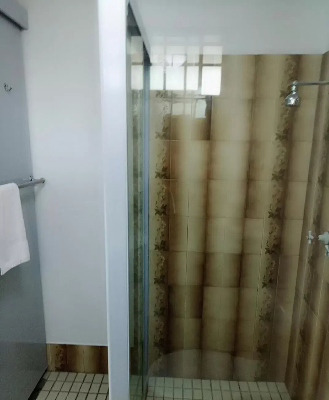 Shower, Bathroom in Excelsior Motor Inn