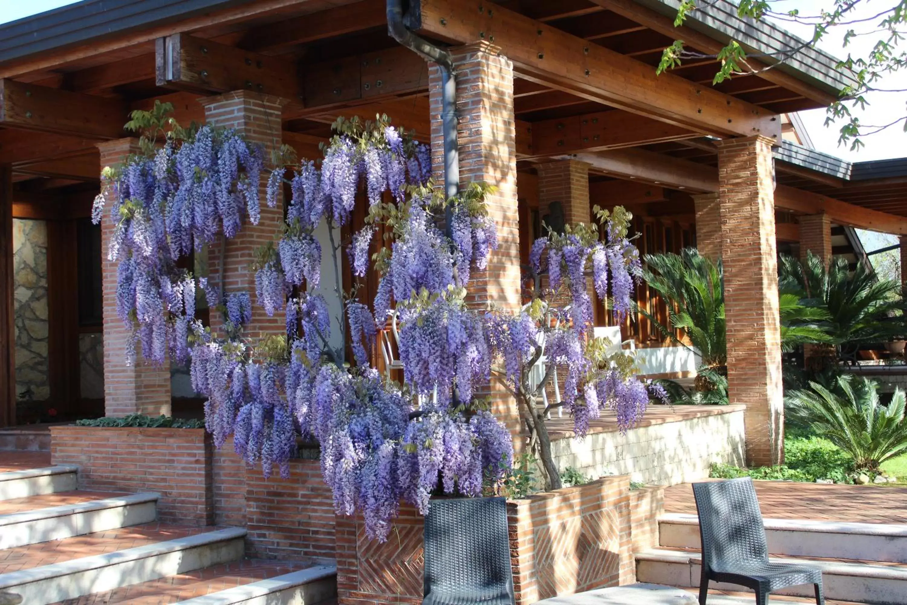 B&B Villa Sbaraglia